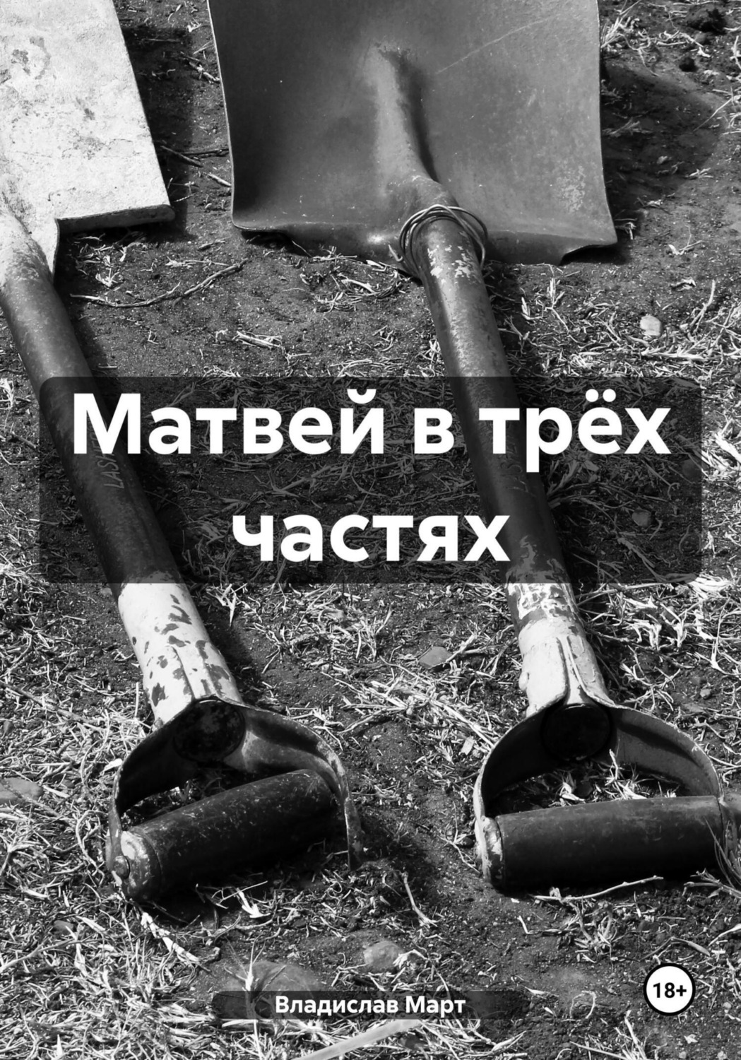 Обложка книги «Матвей в трёх частях»
