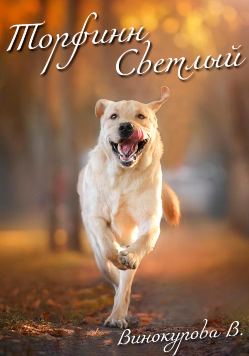 Обложка книги «Торфинн Светлый»