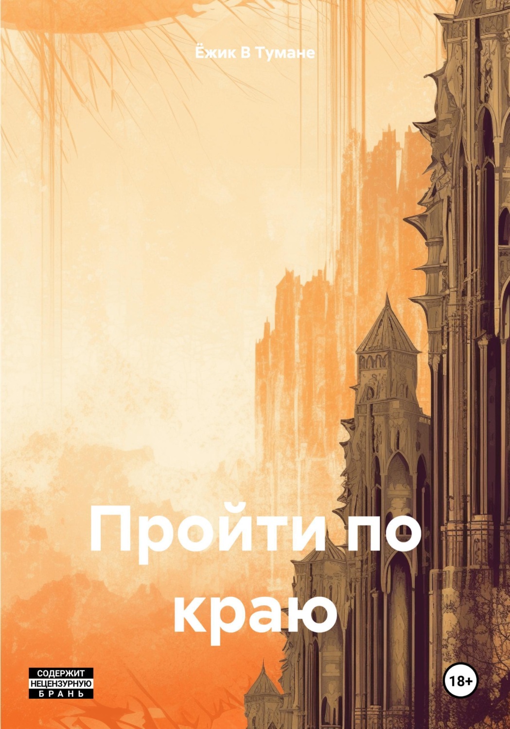 Обложка книги «Пройти по краю»