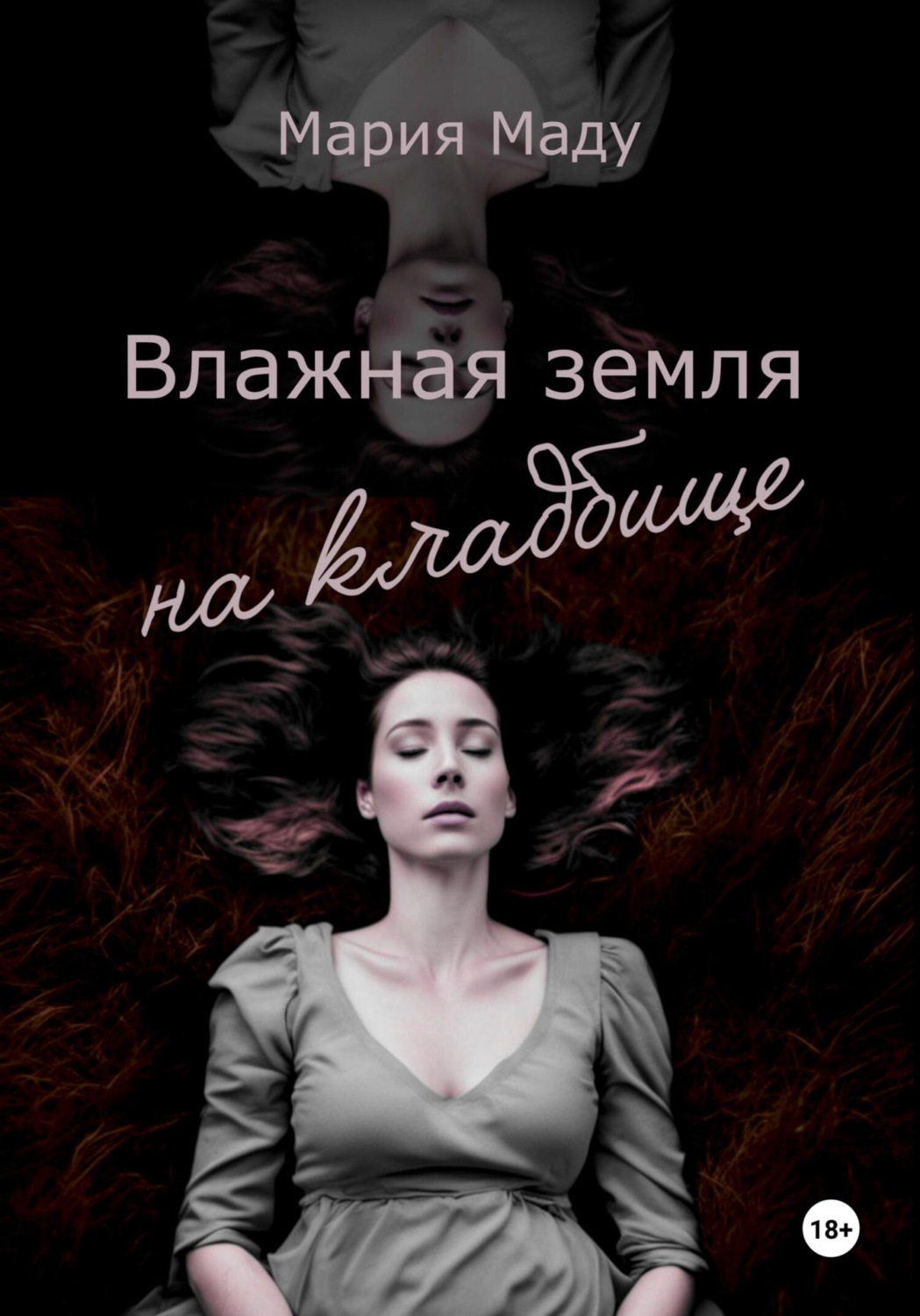 Обложка книги «Влажная земля на кладбище»