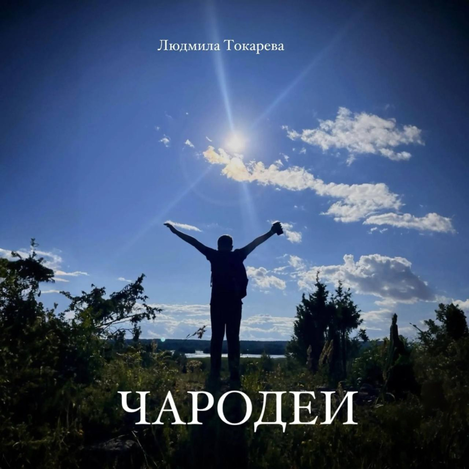 Обложка книги «Чародеи»