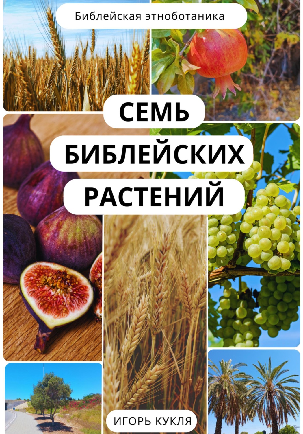 Обложка книги «Семь Библейских Растений»