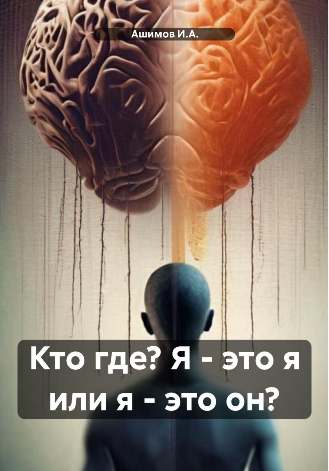 Обложка книги «Кто где? Я – это я или я – это он?»