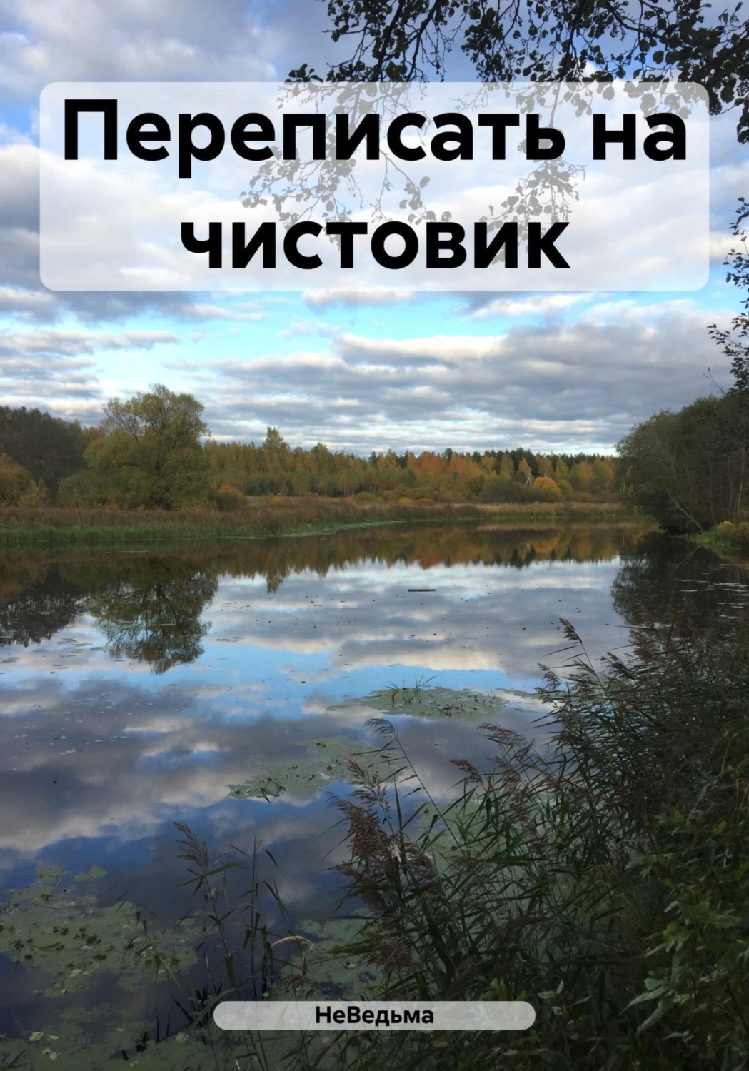 Обложка книги «Переписать на чистовик»