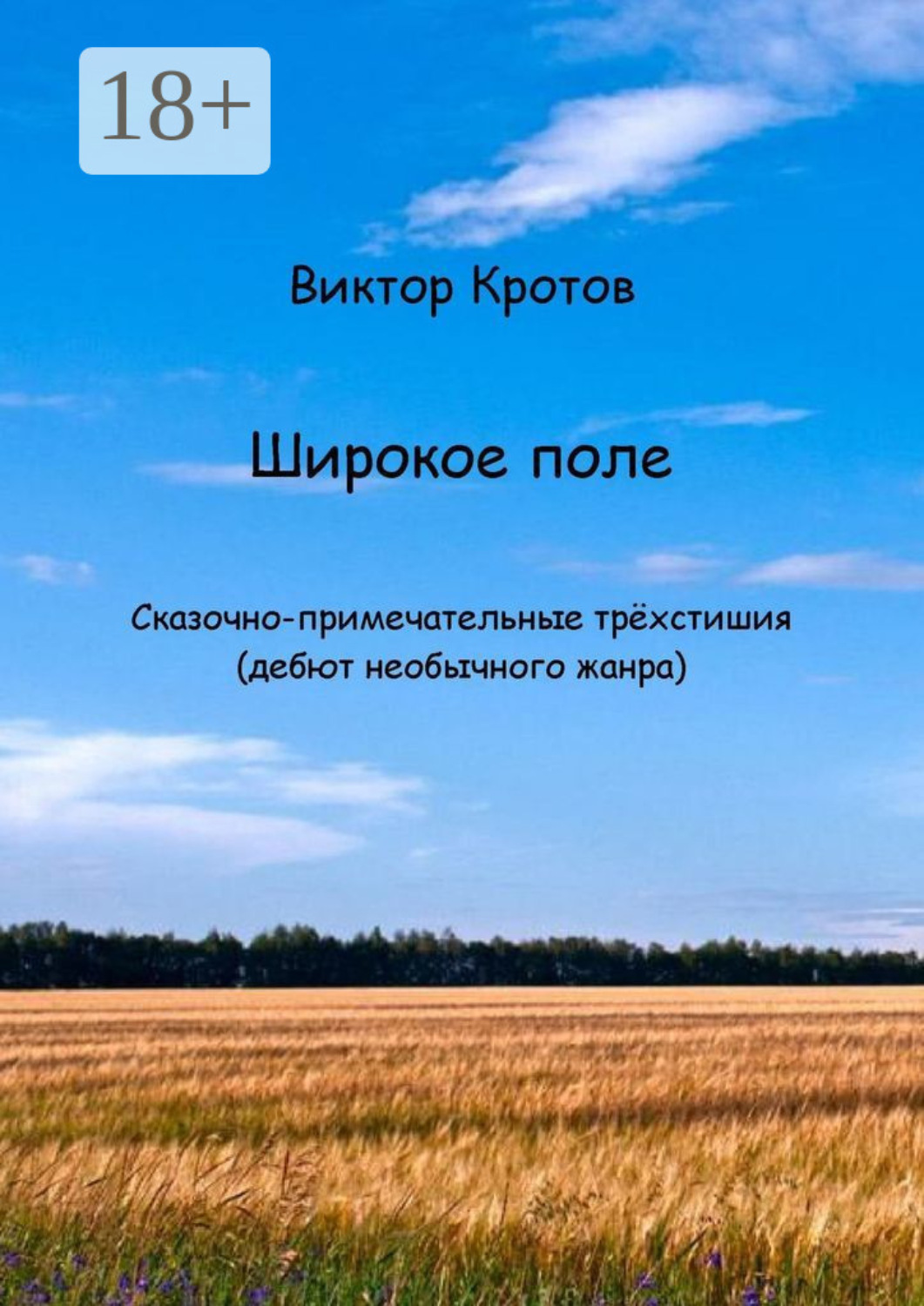 Обложка книги «Широкое поле. Сказочно-примечательные трёхстишия (дебют необычного жанра)»