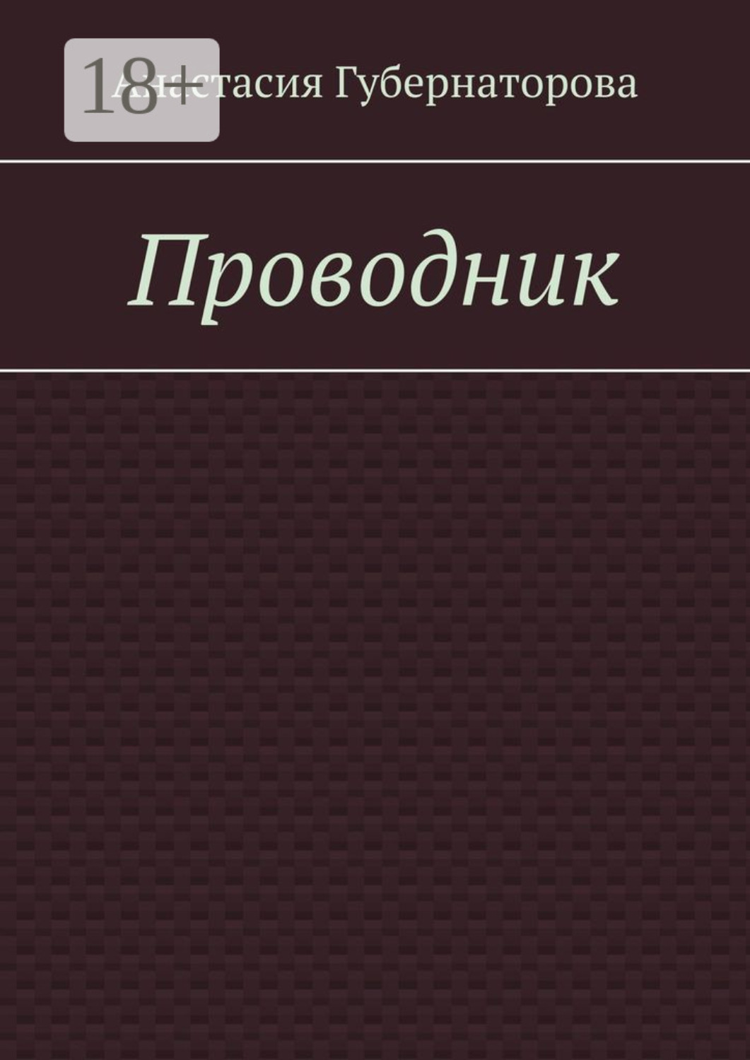 Обложка книги «Проводник»