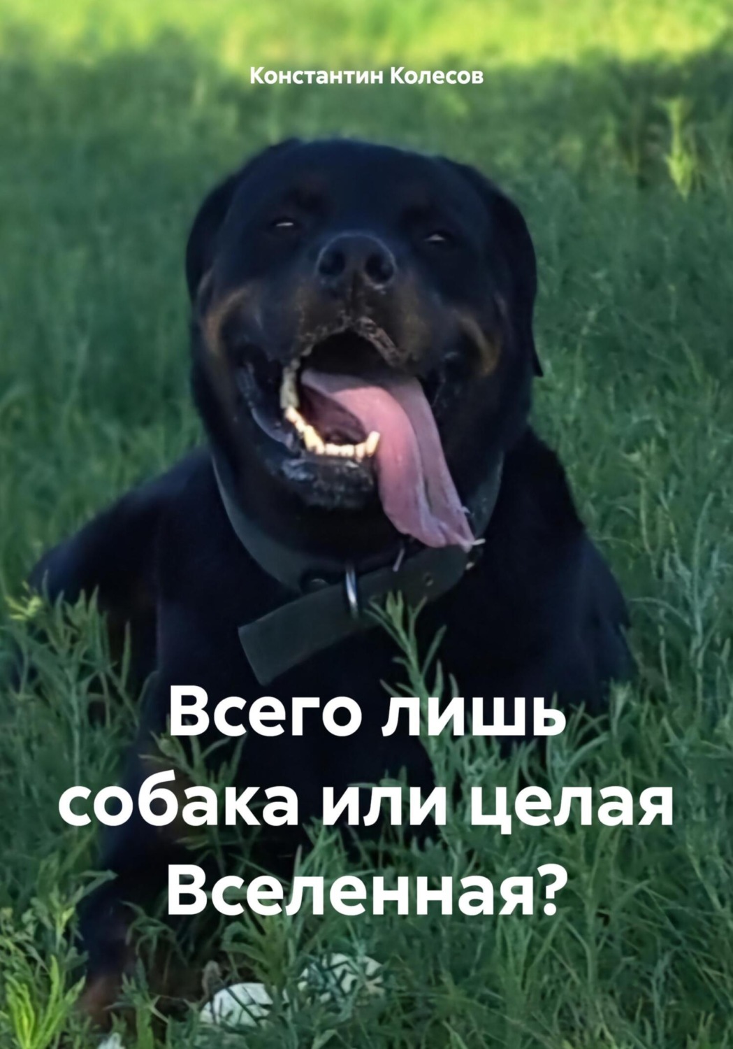 Обложка книги «Всего лишь собака или целая Вселенная?»