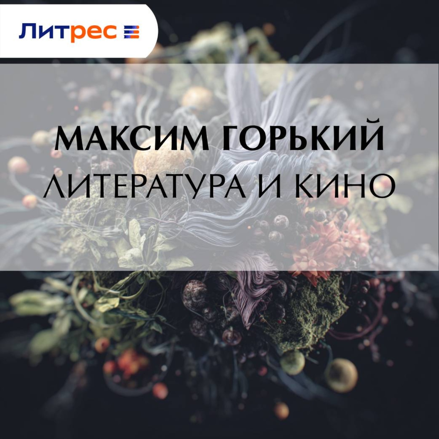 Обложка книги «Литература и кино»