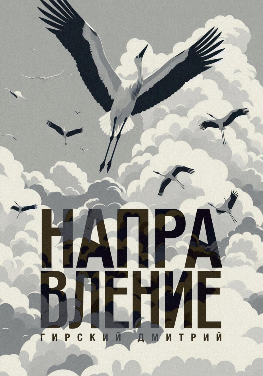 Обложка книги «Направление 3»