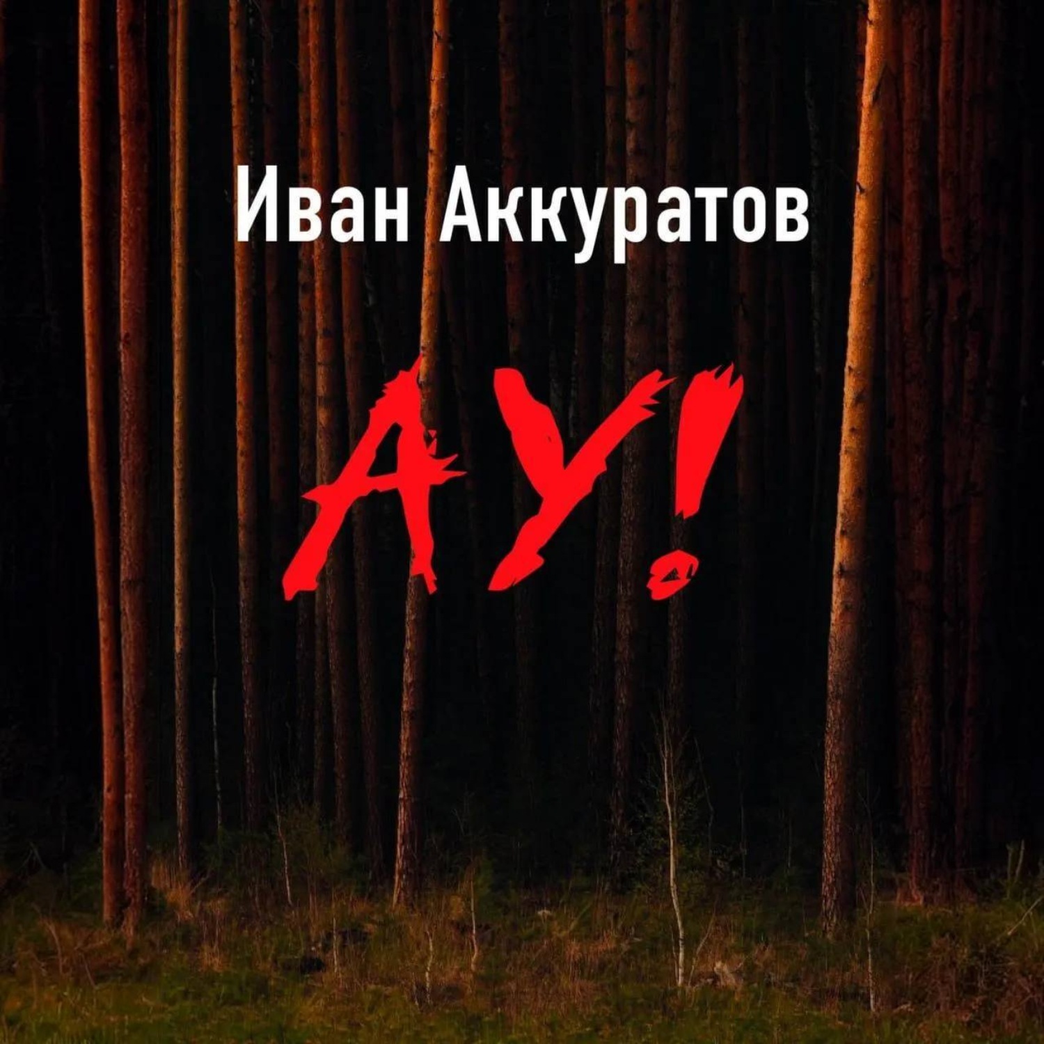 Обложка книги «Ау!»