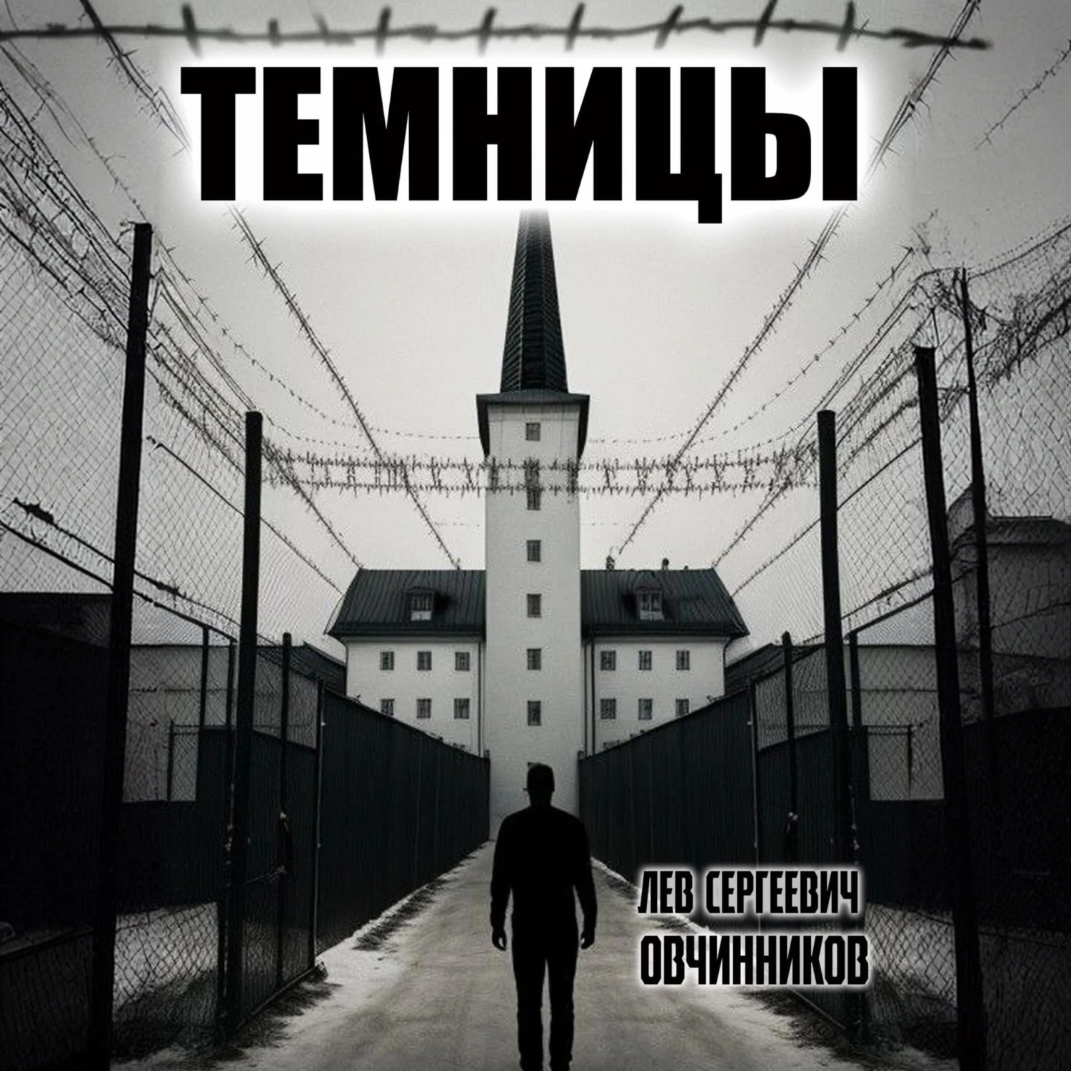 Обложка книги «Темницы»