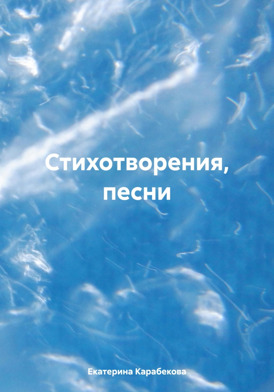 Обложка книги «Стихотворения, песни»