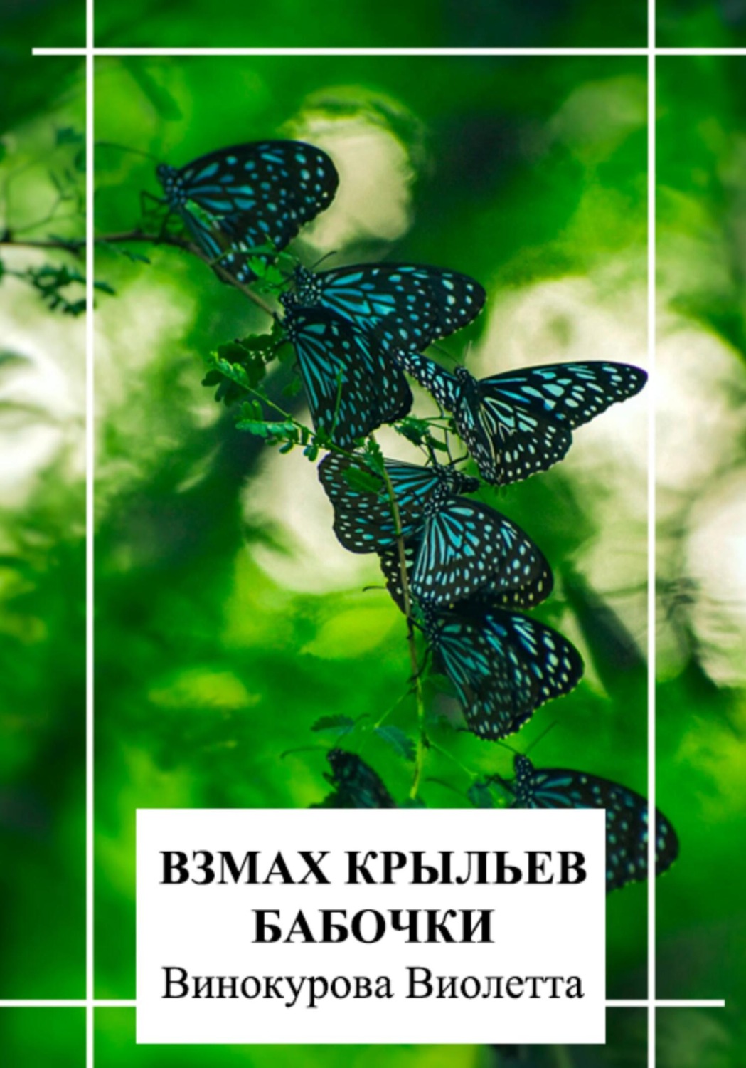 Обложка книги «Взмах крыльев бабочки»