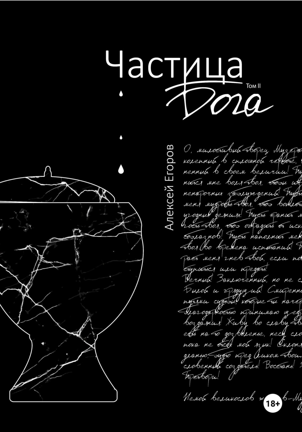 Обложка книги «Частица бога. Том 2»