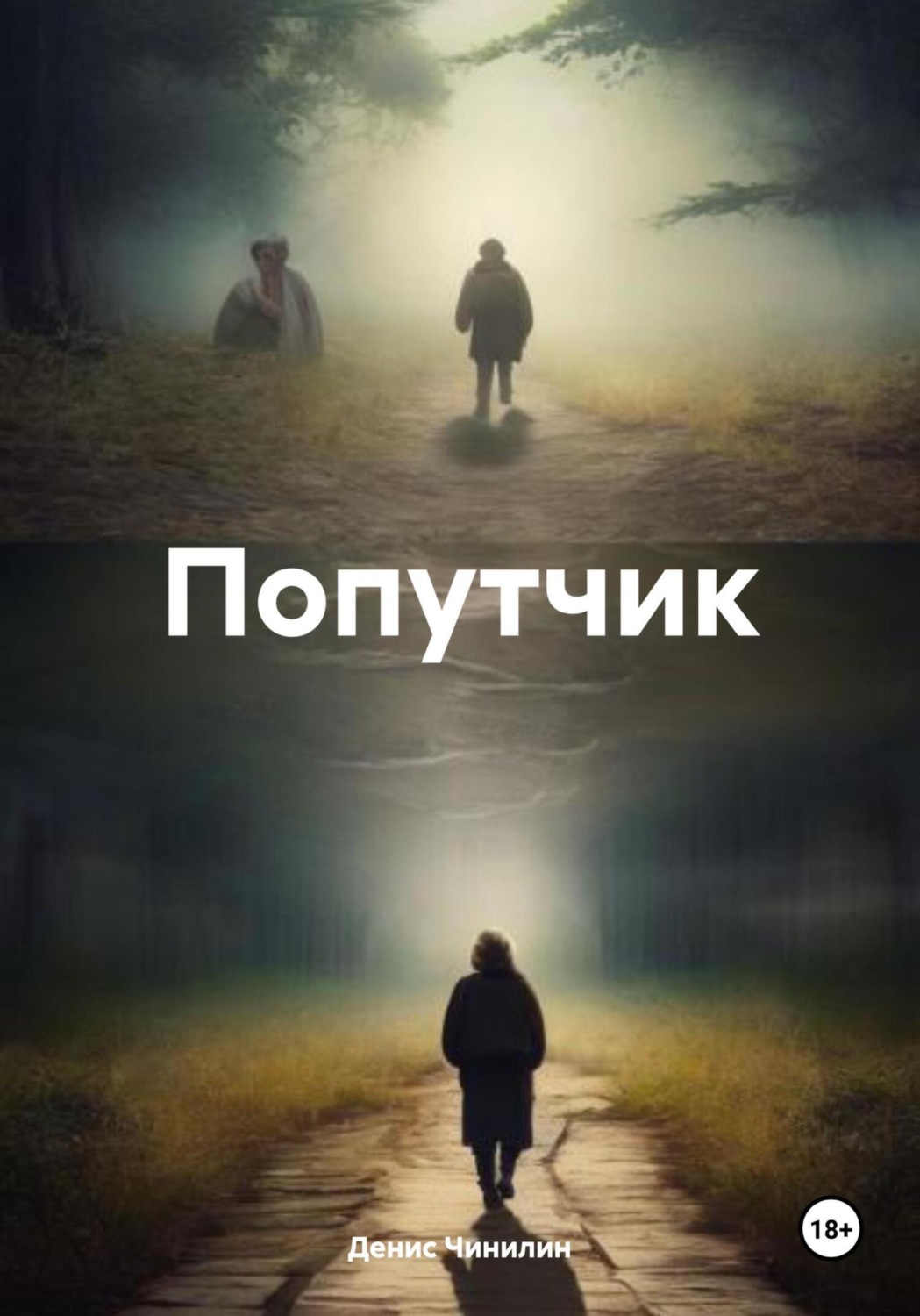 Обложка книги «Попутчик»
