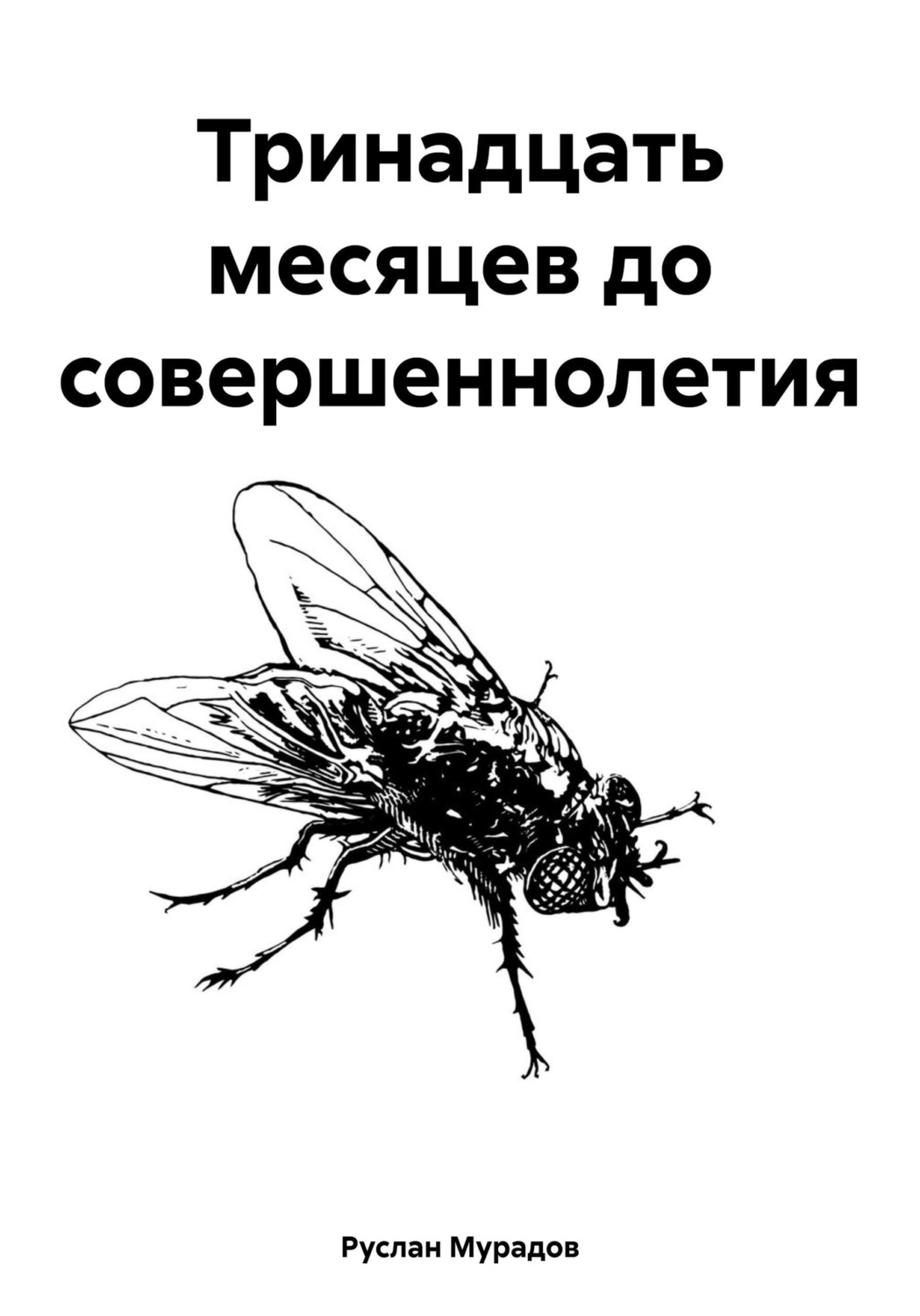 Обложка книги «Тринадцать месяцев до совершеннолетия»