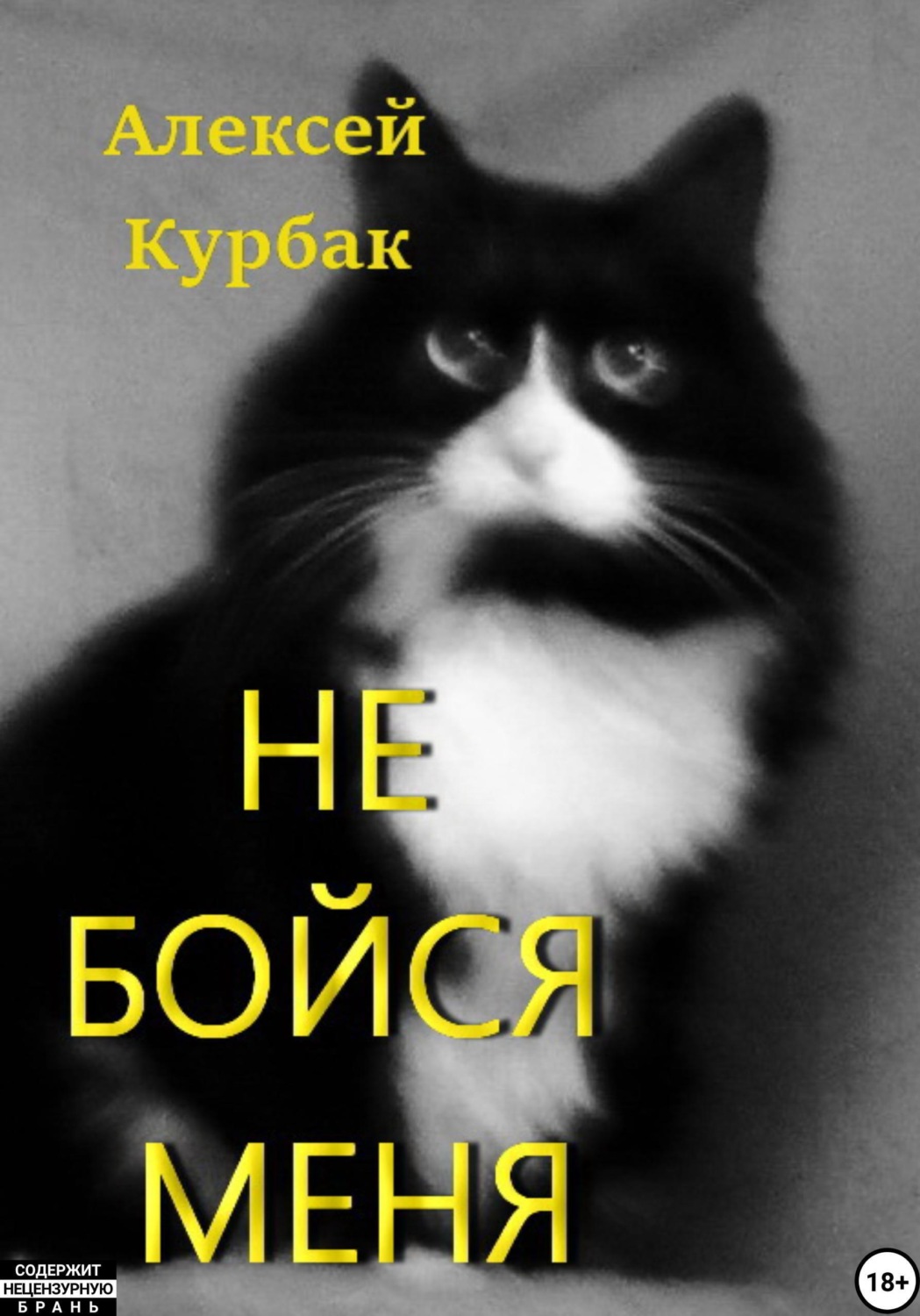 Обложка книги «Не бойся меня»