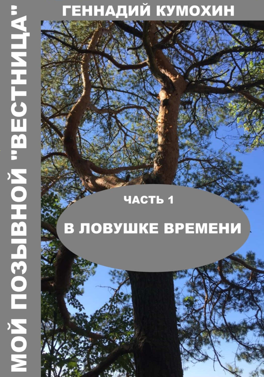 Обложка книги «Мой позывной «Вестница». Часть 1. В ловушке времени»