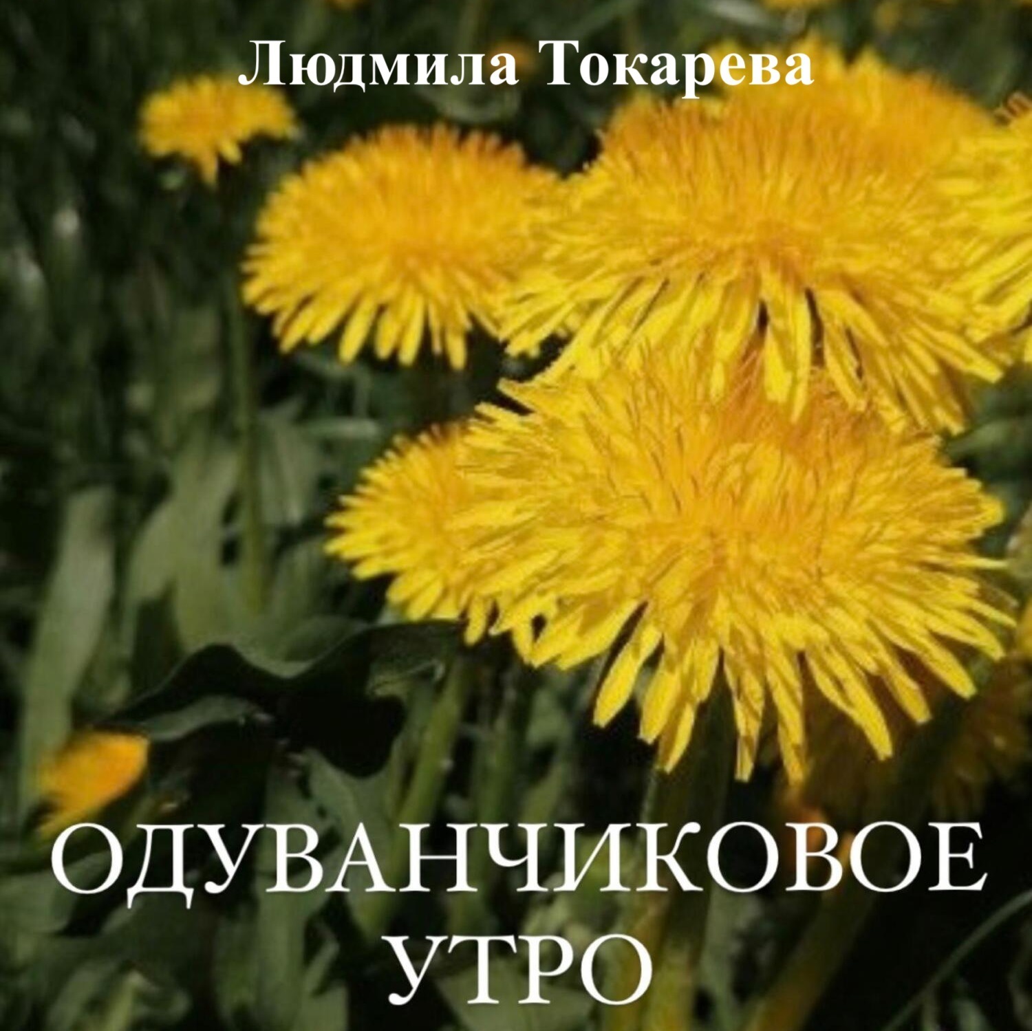 Обложка книги «Одуванчиковое утро»