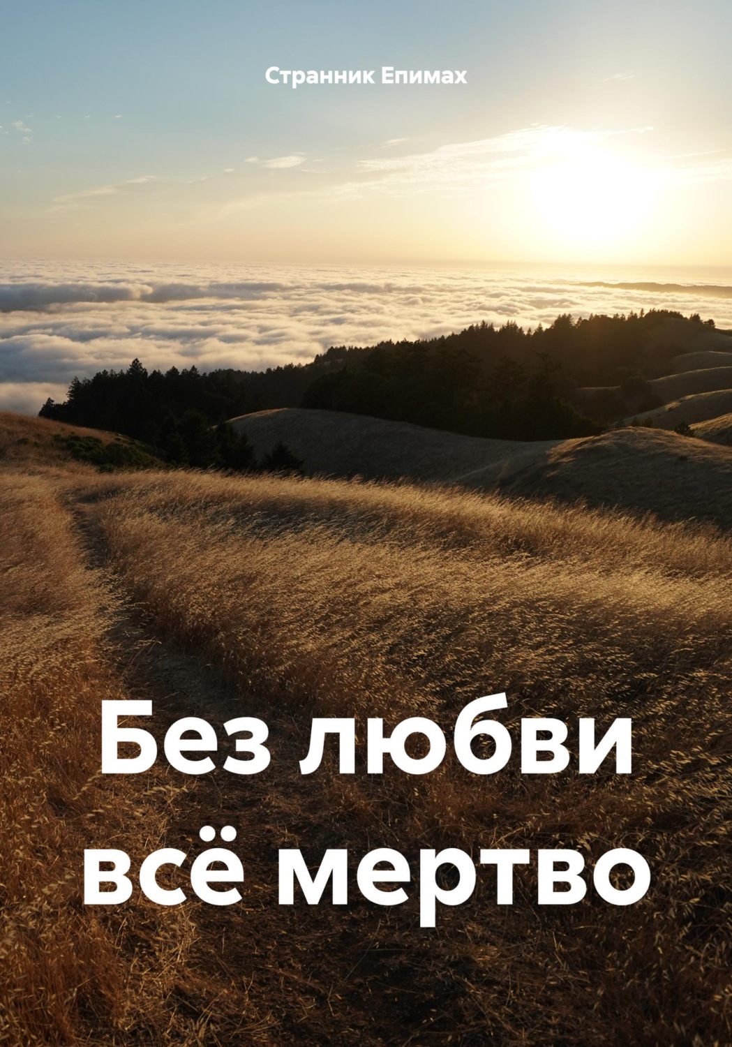 Обложка книги «Без любви всё мертво»