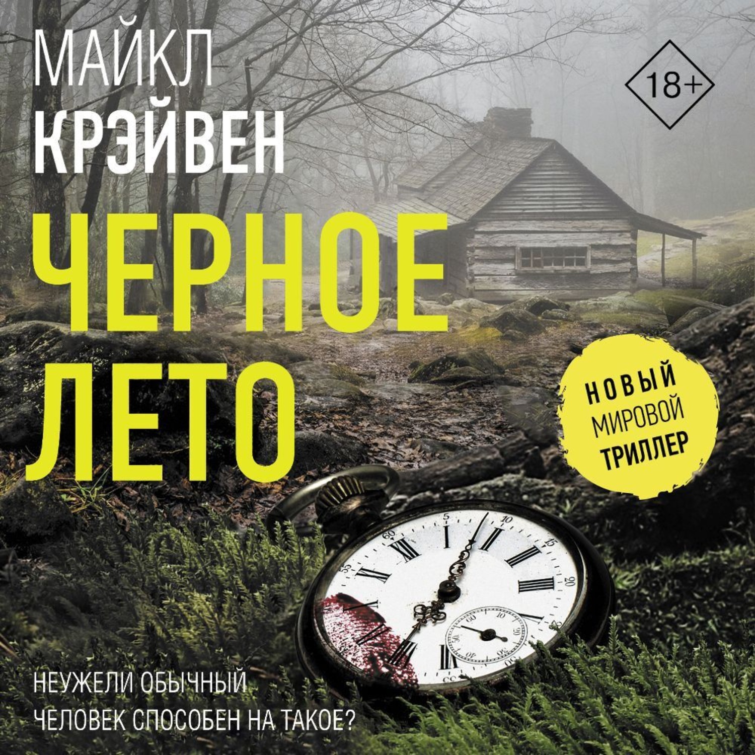Обложка книги «Черное лето»