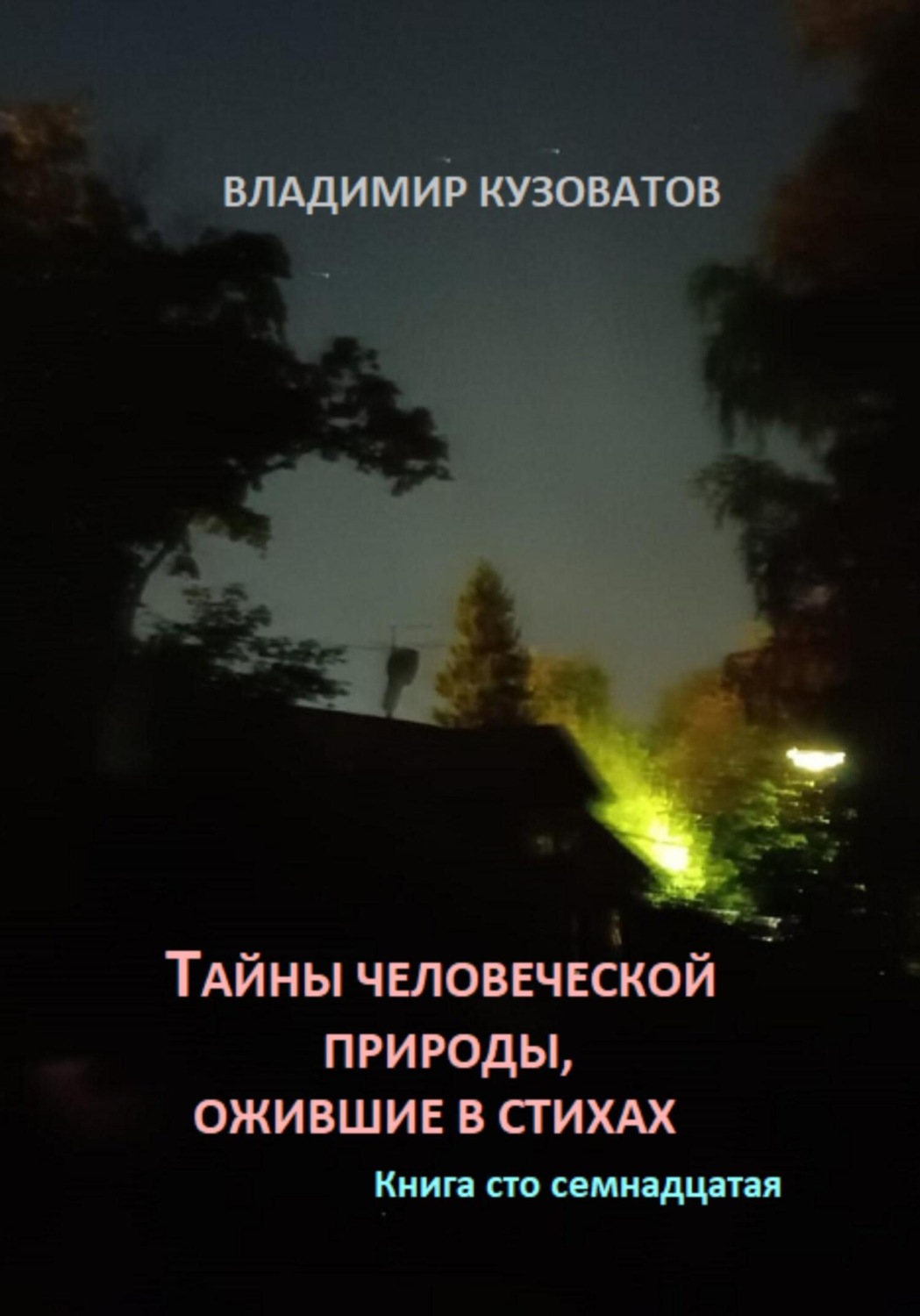 Обложка книги «Тайны человеческой природы, ожившие в стихах. Книга сто семнадцатая»