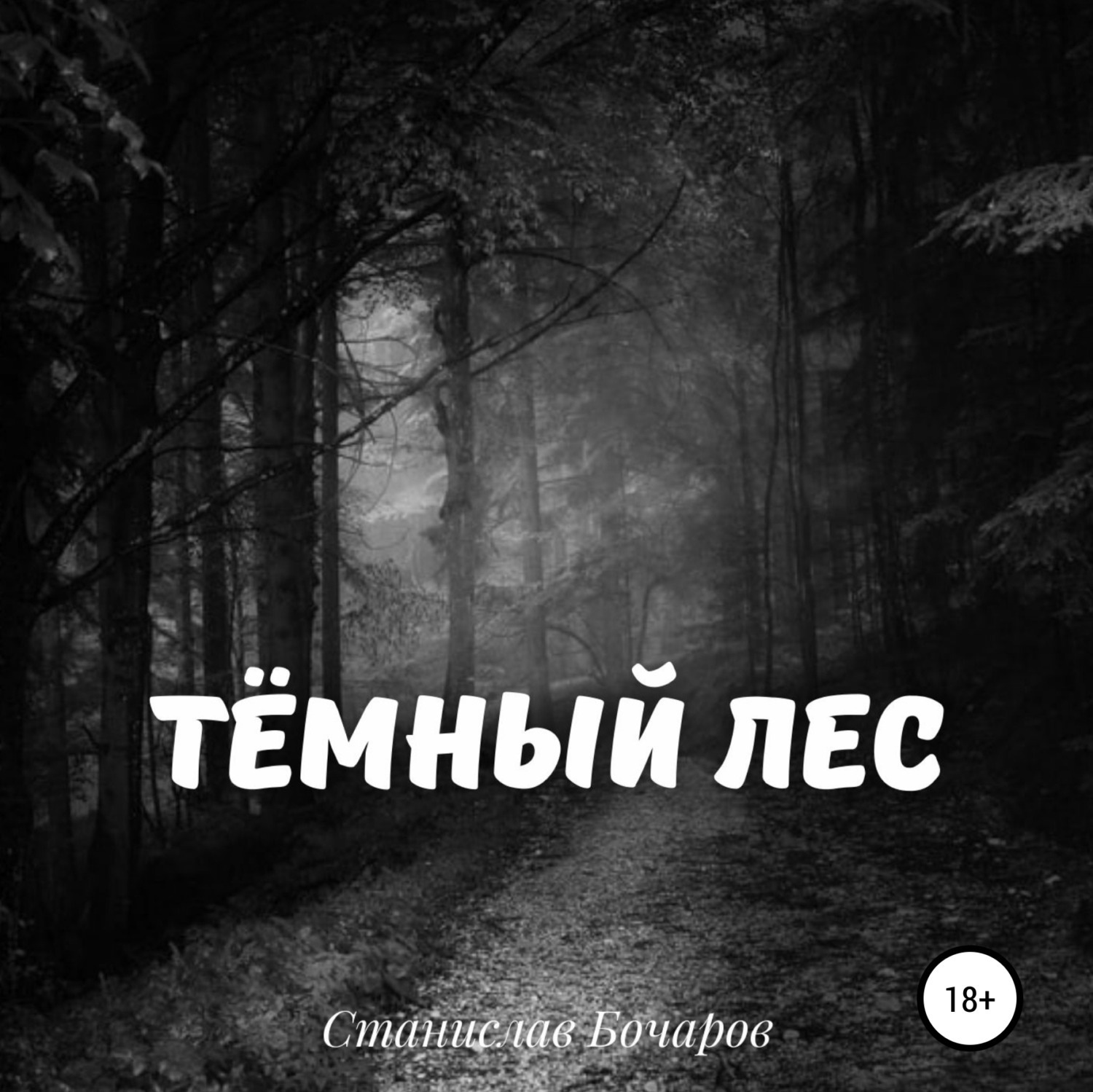 Обложка книги «Тёмный лес»