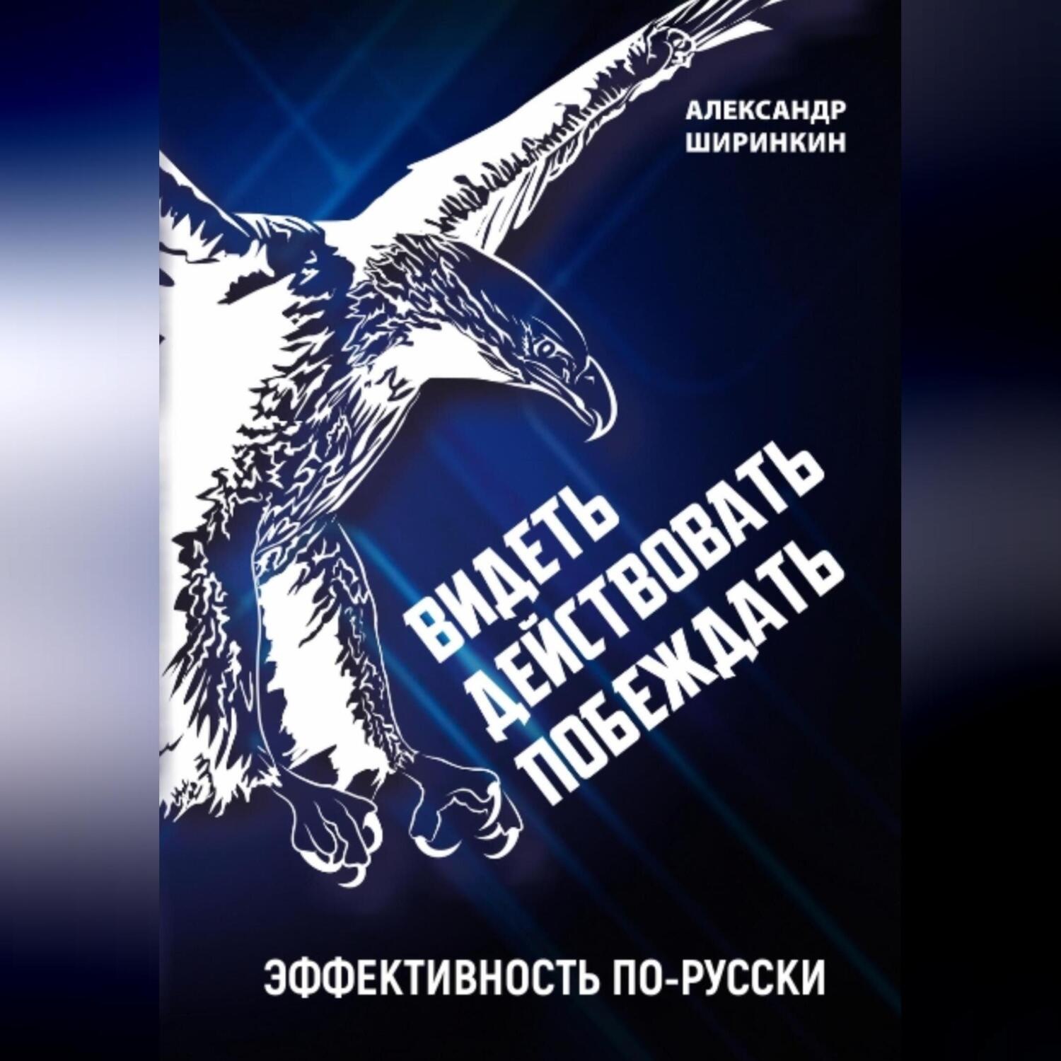 Обложка книги «Видеть. Действовать. Побеждать. Издание второе. Эффективность по-русски»