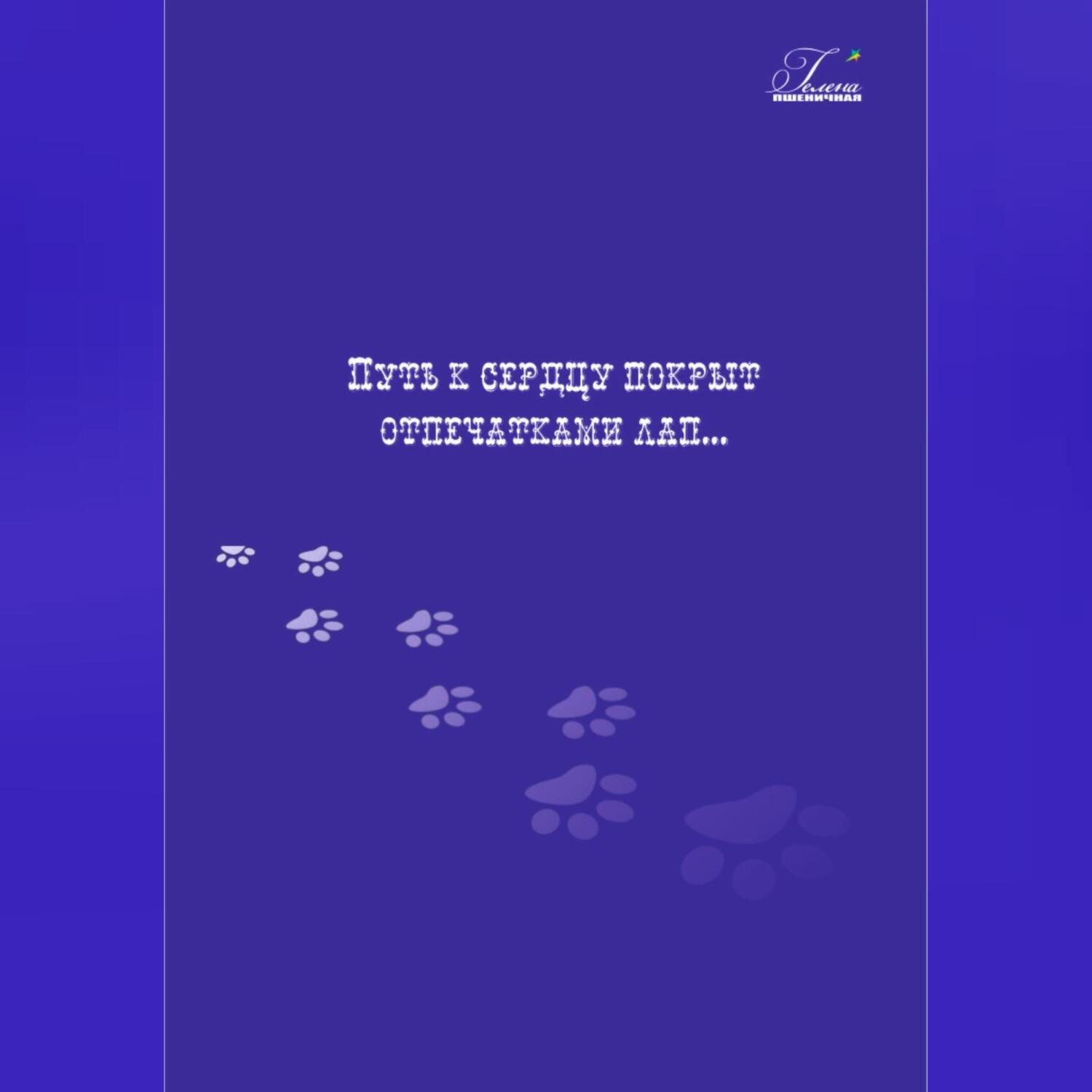 Обложка книги «Путь к сердцу покрыт отпечатками лап…»