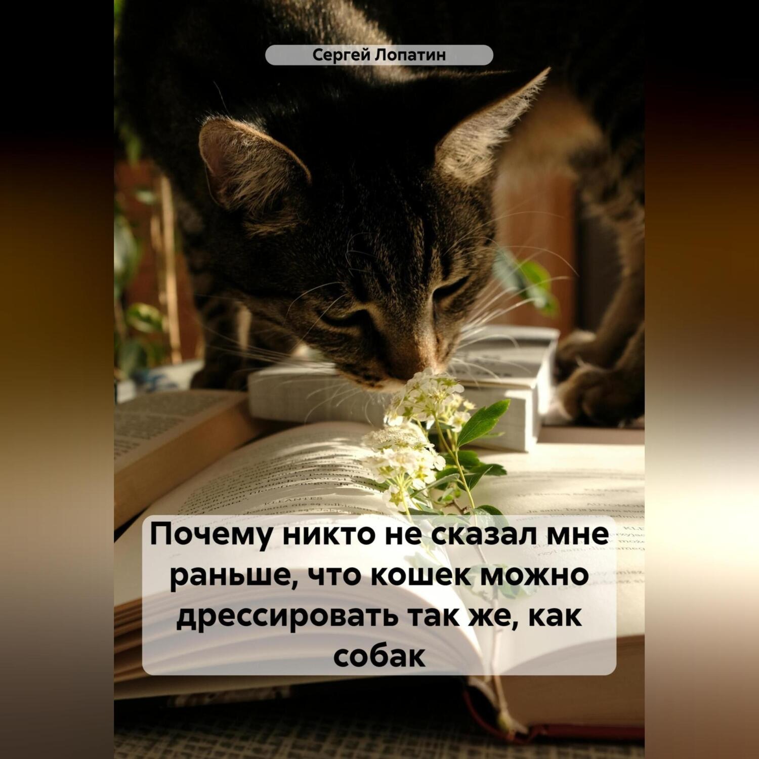 Обложка книги «Почему никто не сказал мне раньше, что кошек можно дрессировать так же, как собак»