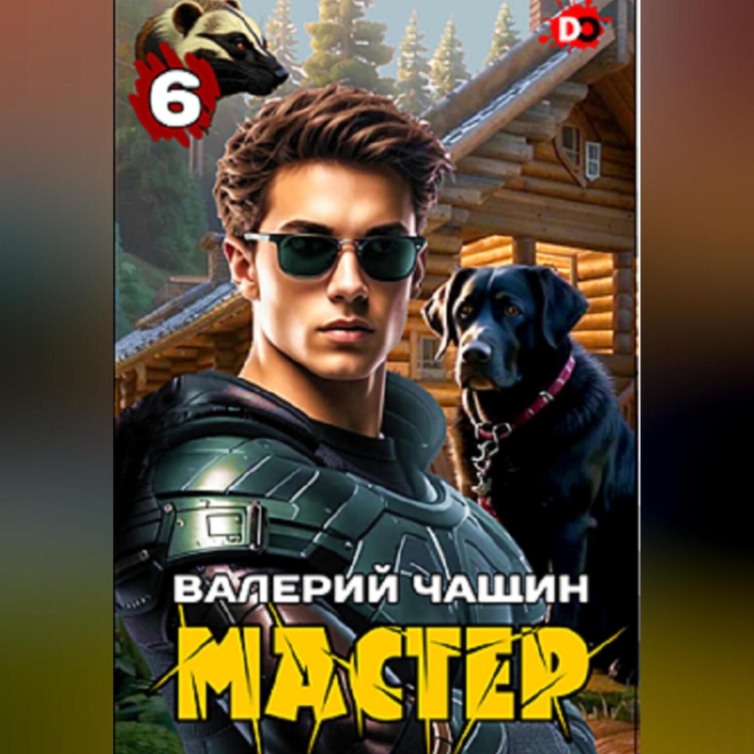 Обложка книги «Мастер 6»