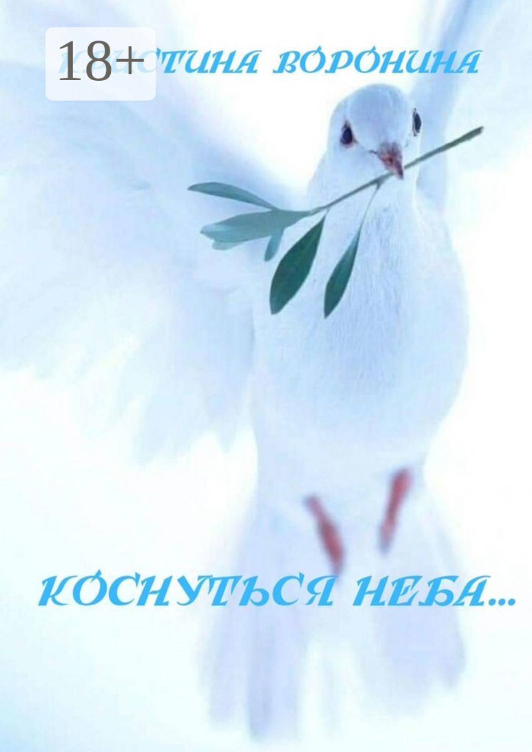 Обложка книги «Коснуться неба…»