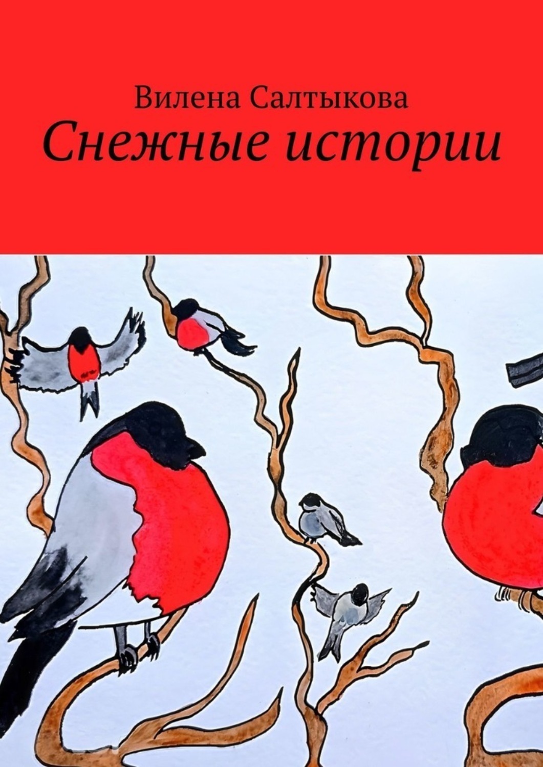 Обложка книги «Снежные истории»