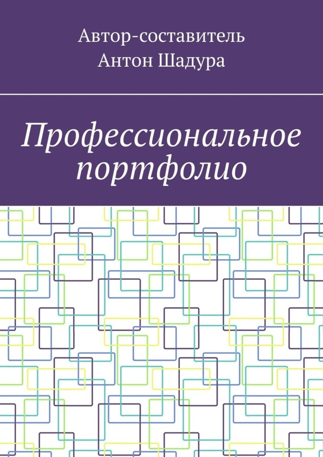 Обложка книги «Профессиональное портфолио»