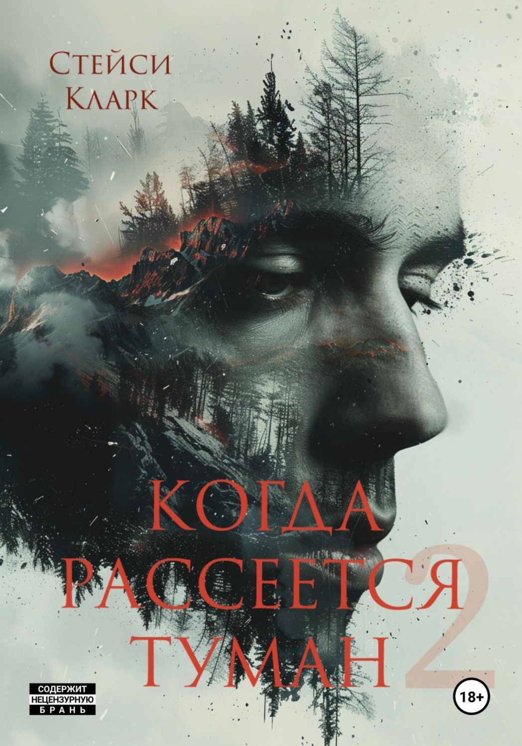 Обложка книги «Когда рассеется туман. Книга 2»