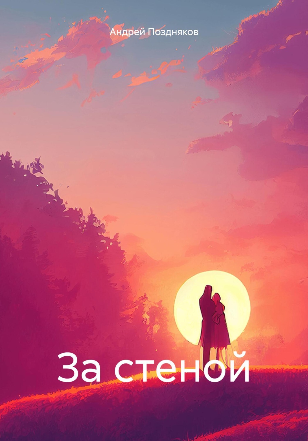 Обложка книги «За стеной»