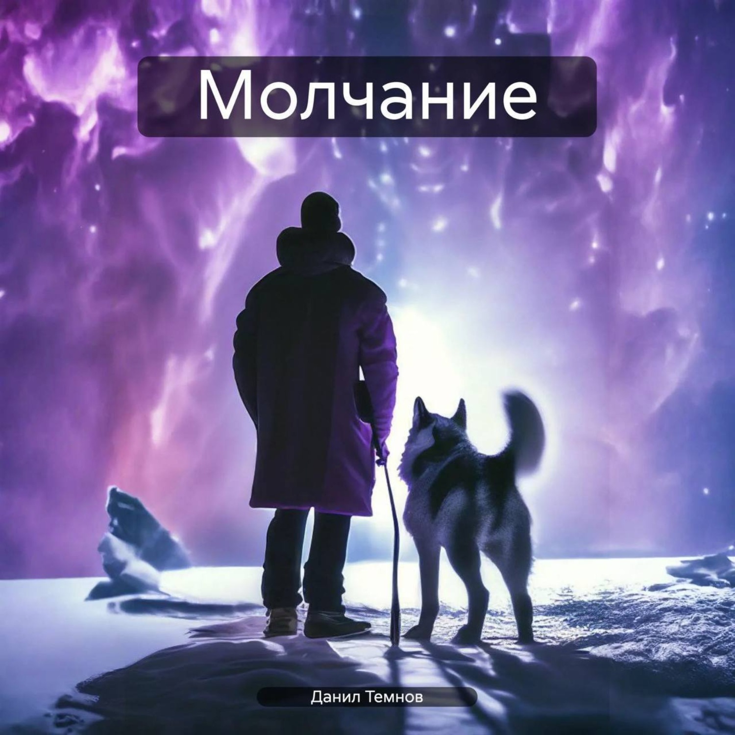 Обложка книги «Молчание»