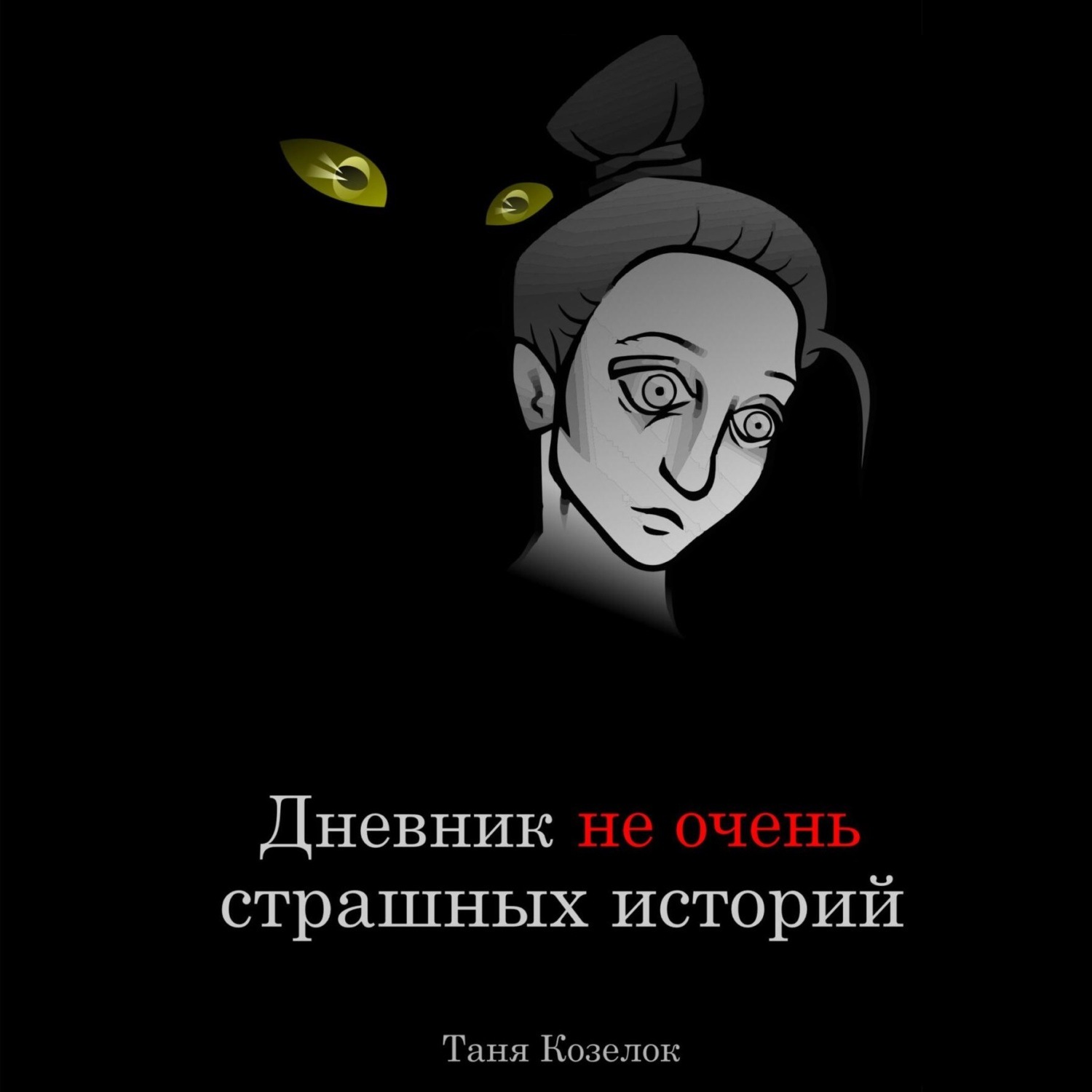 Обложка книги «Дневник не очень страшных историй»