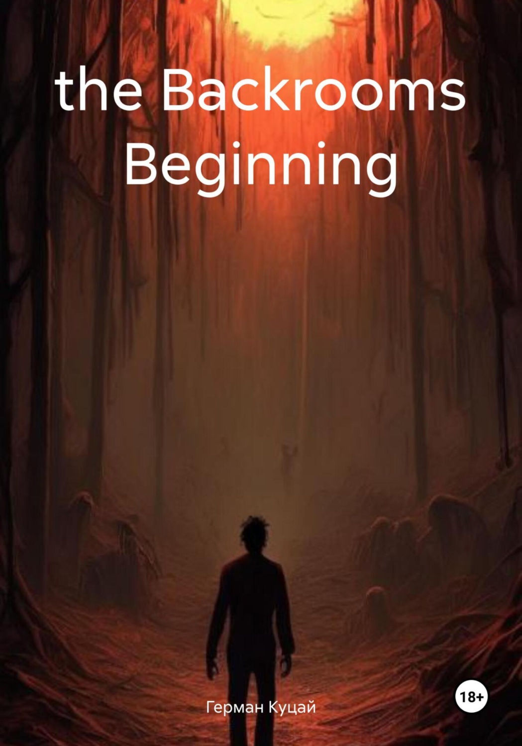 Обложка книги «the Backrooms Beginning»