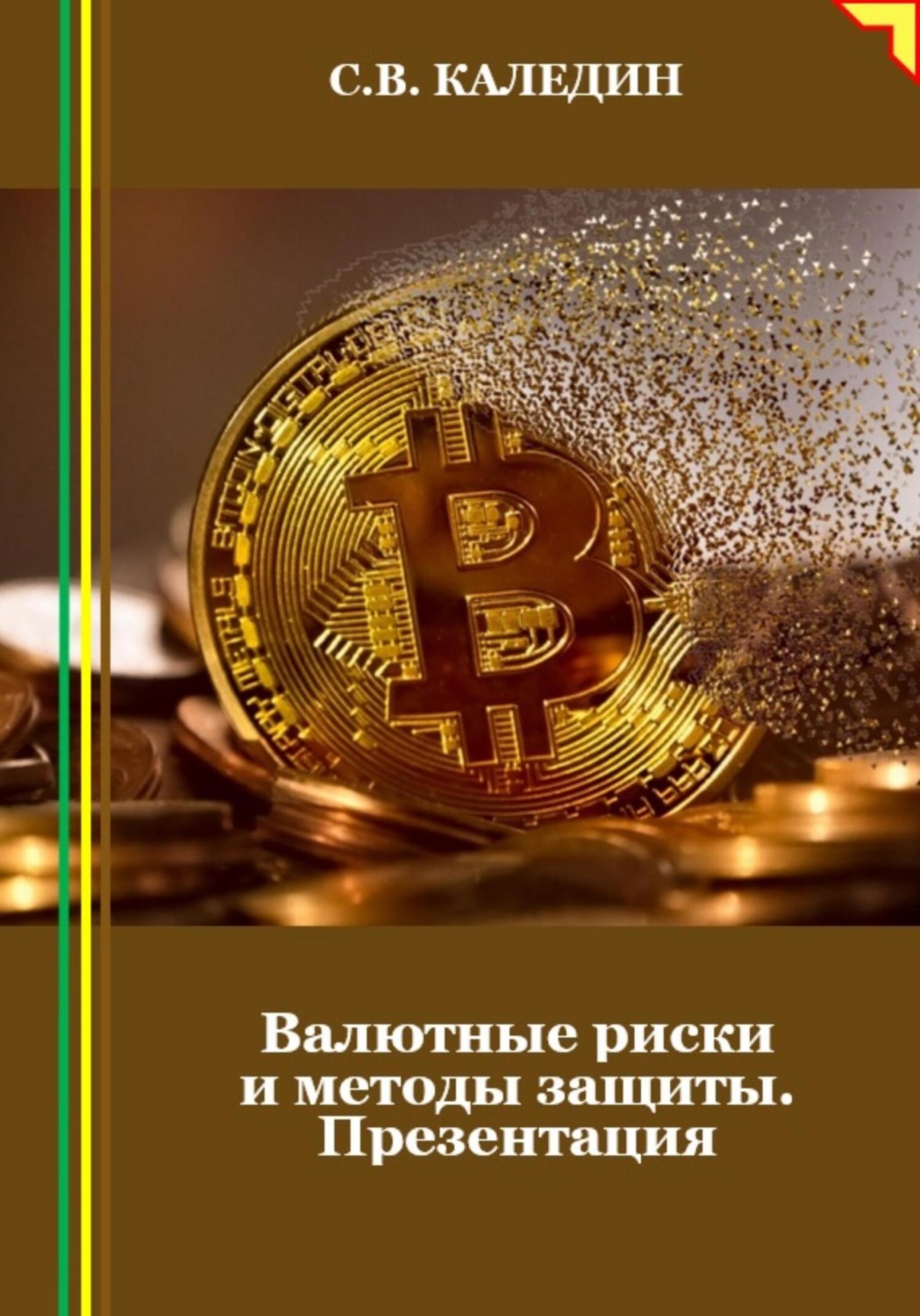 Обложка книги «Валютные риски и методы защиты. Презентация»