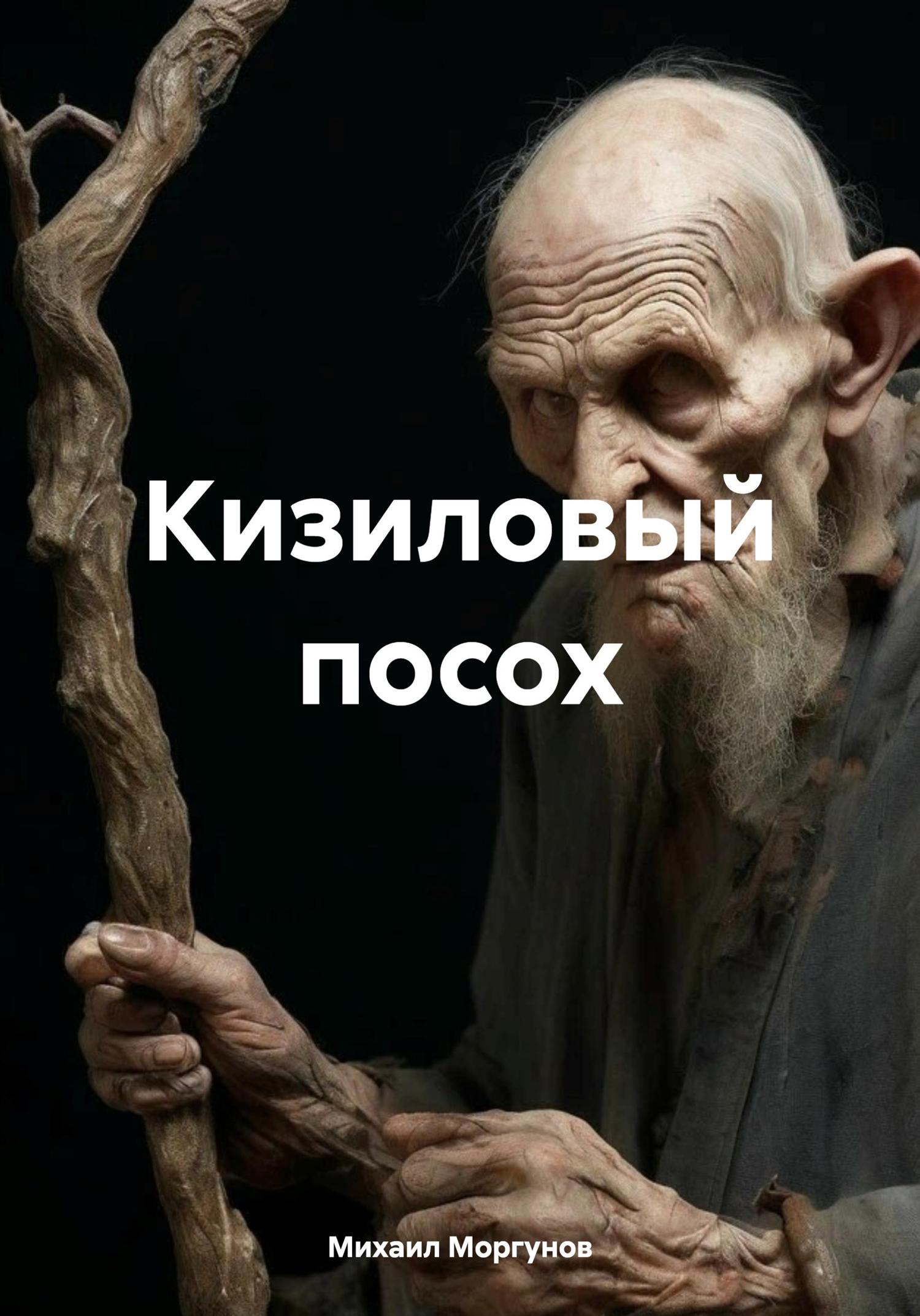 Обложка книги «Кизиловый посох»