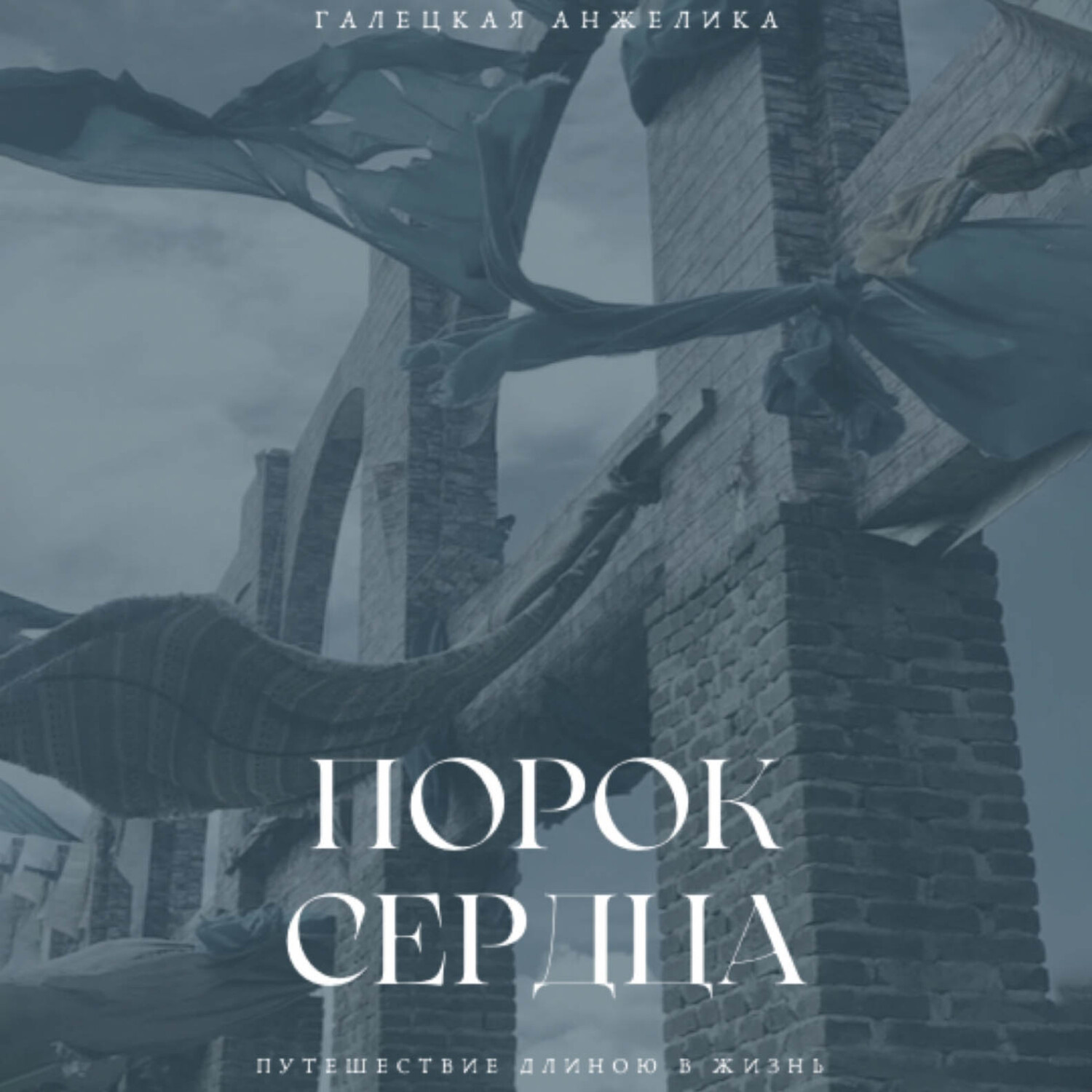 Обложка книги «Порок сердца»