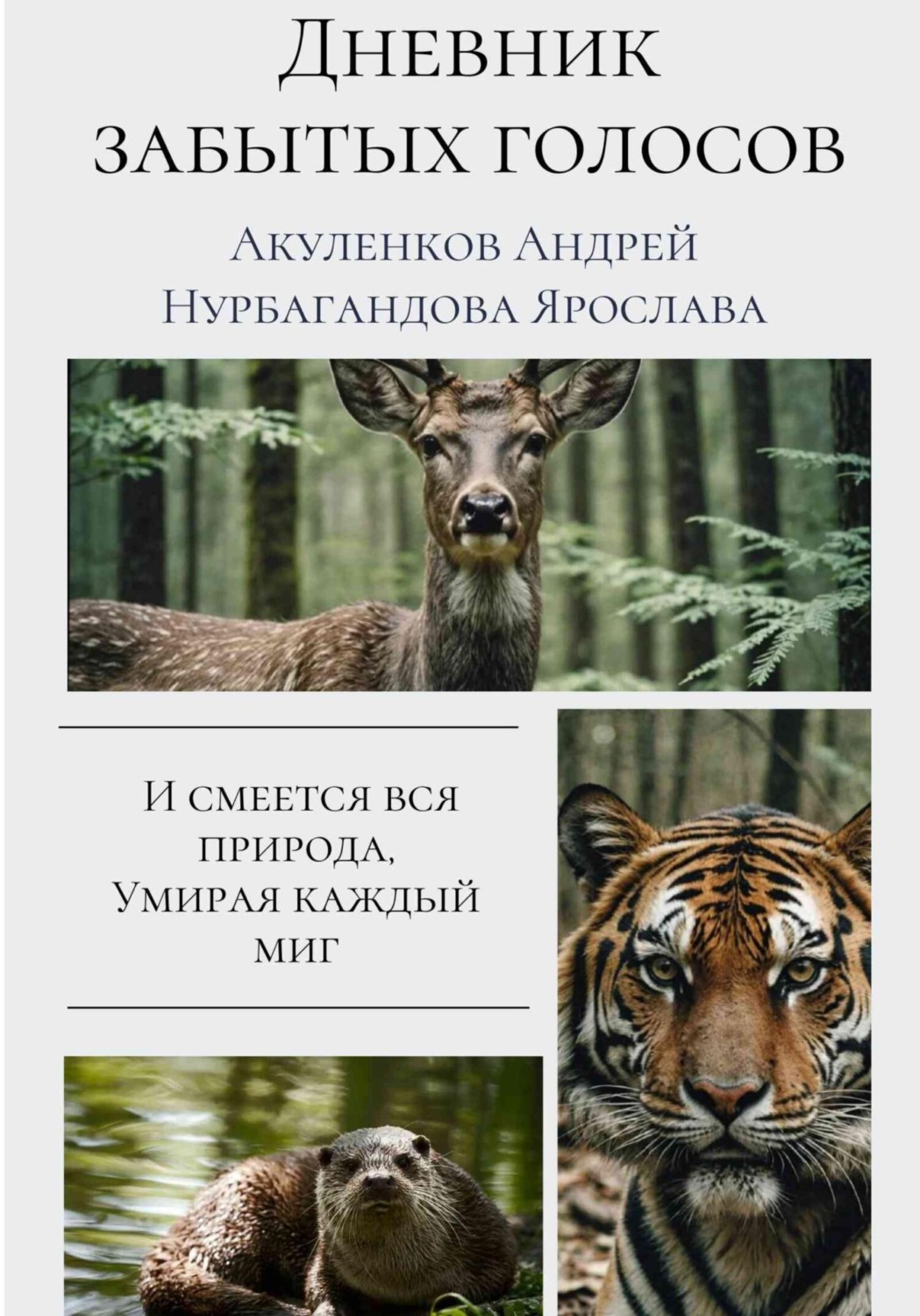 Обложка книги «Дневник забытых голосов»