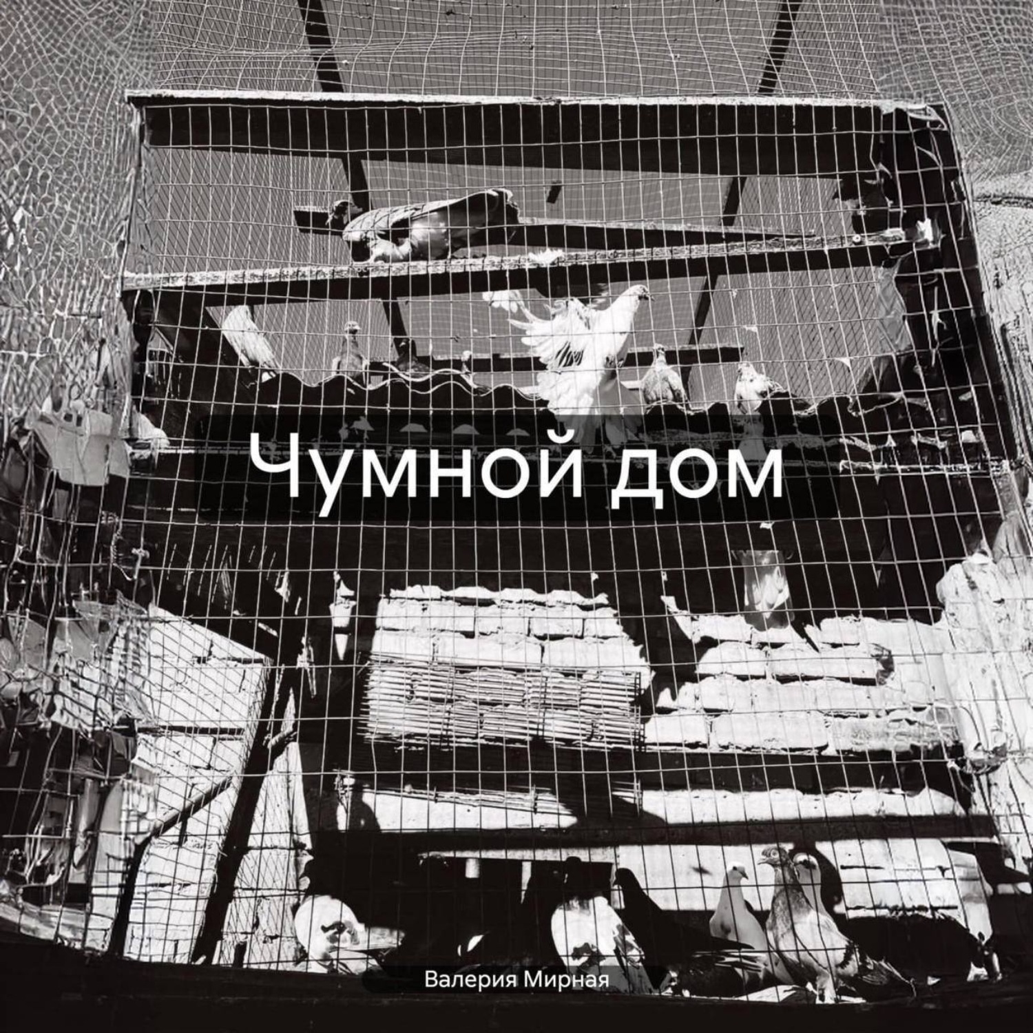 Обложка книги «Чумной дом»