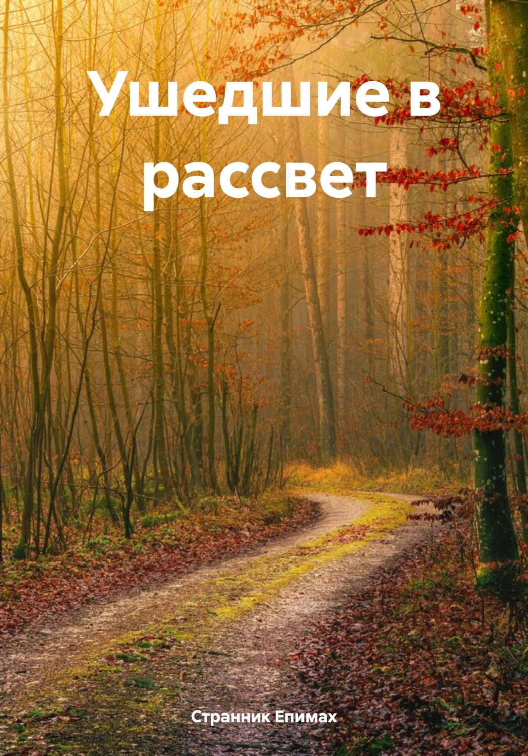 Обложка книги «Ушедшие в рассвет»