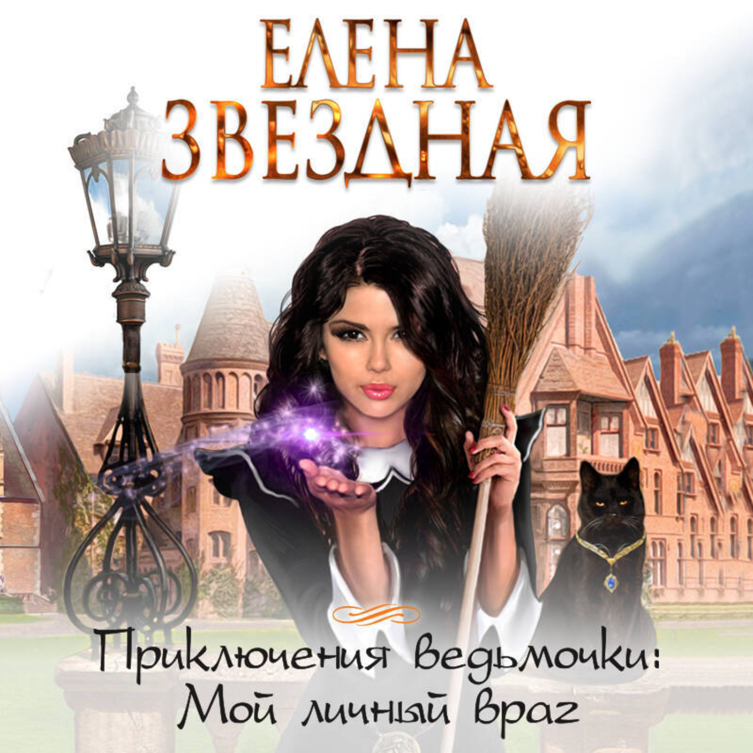 Обложка книги «Мой личный враг»