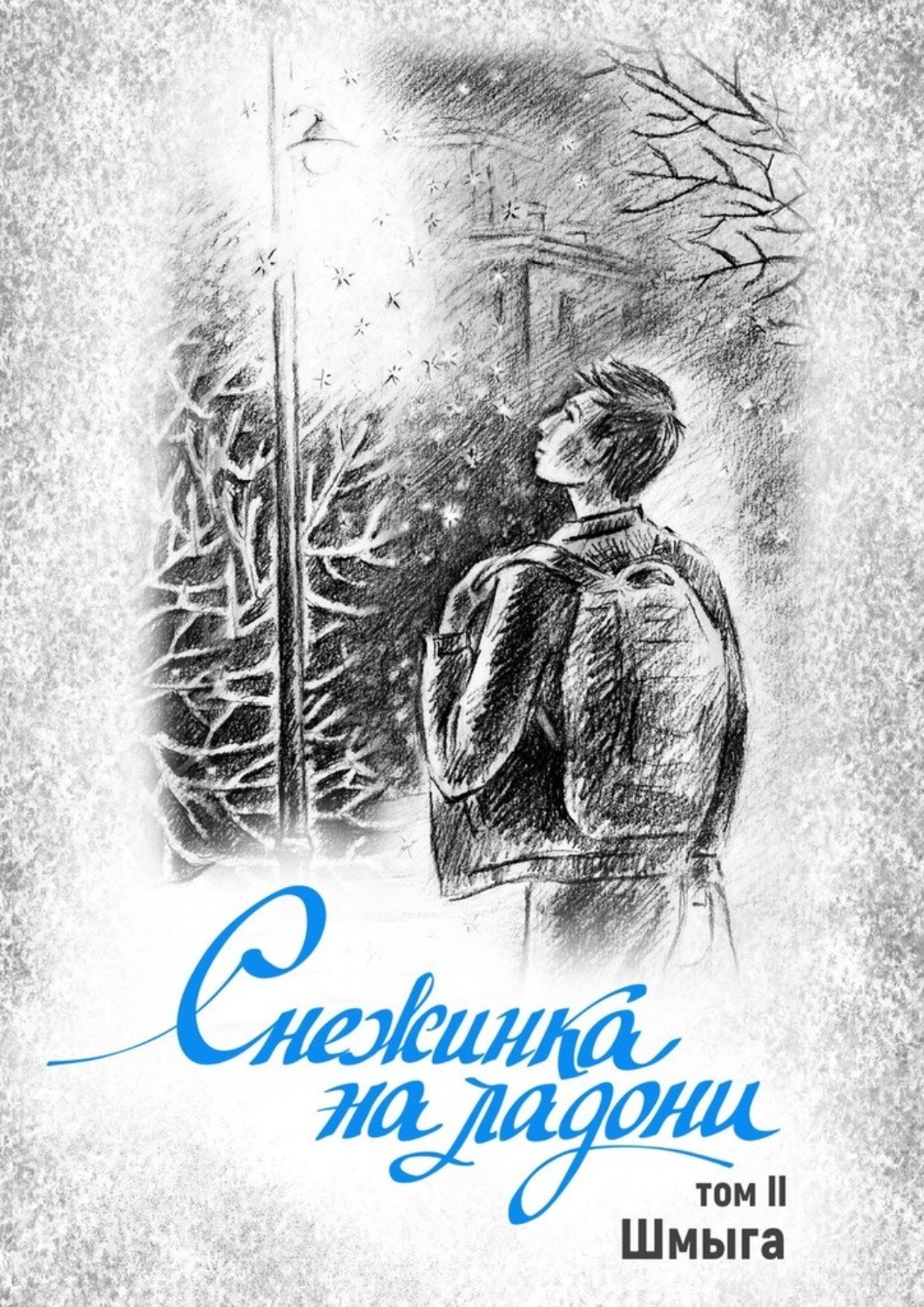 Обложка книги «Снежинка на ладони. Том 2»