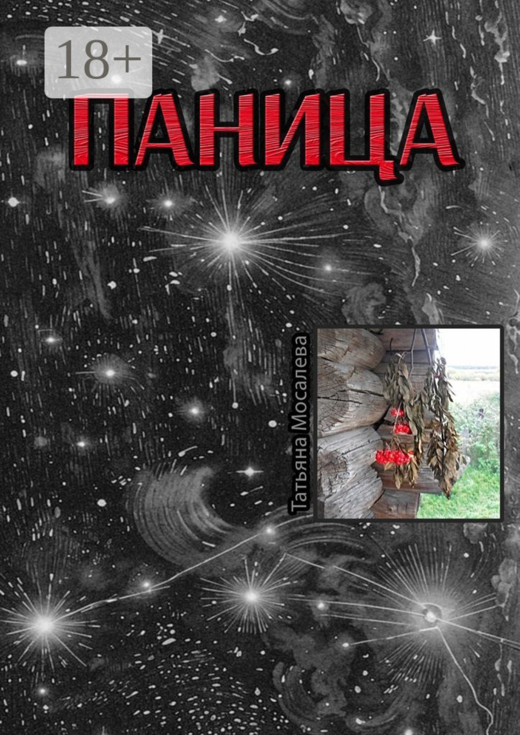 Обложка книги «Паница»