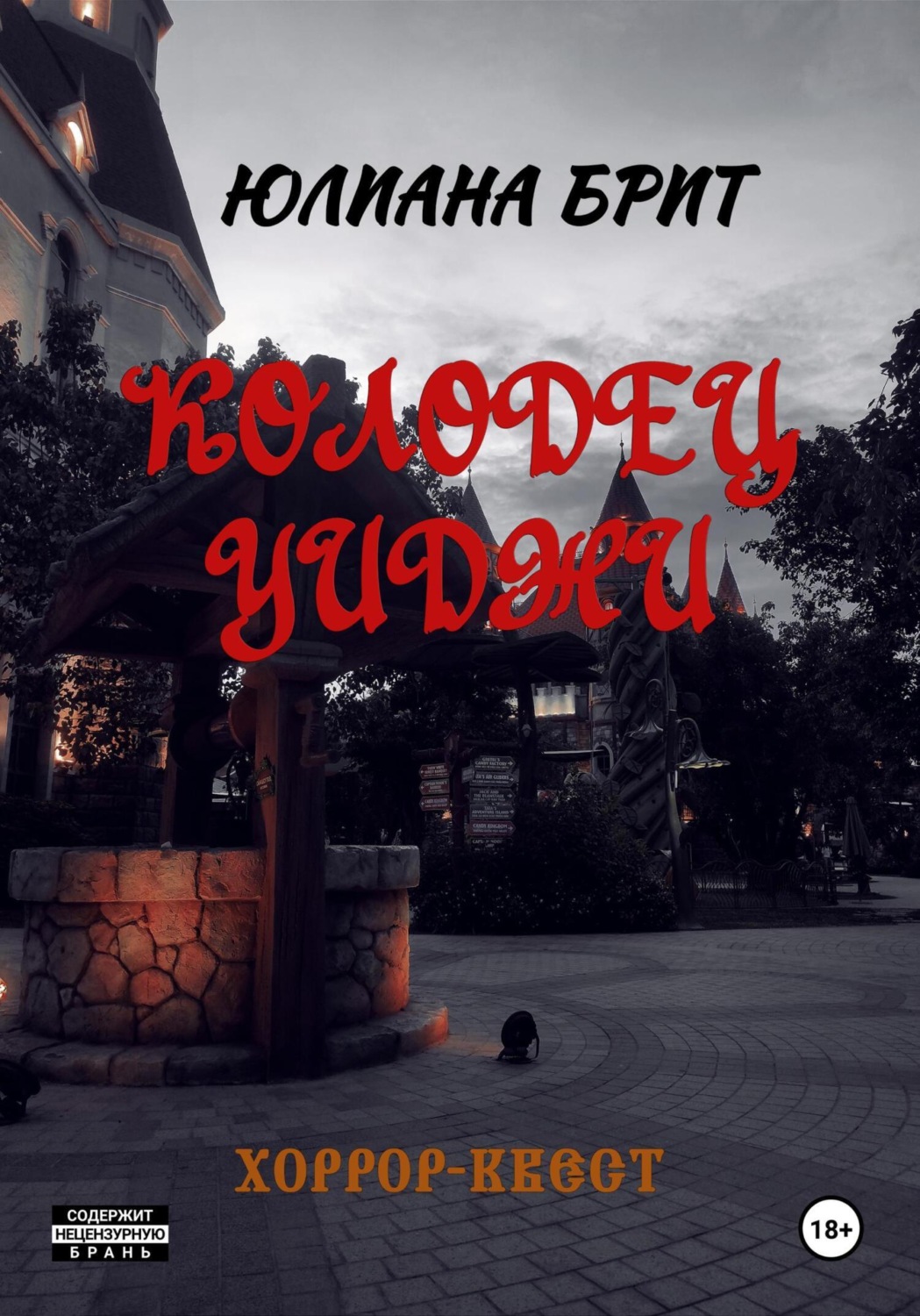 Обложка книги «Колодец Уиджи»
