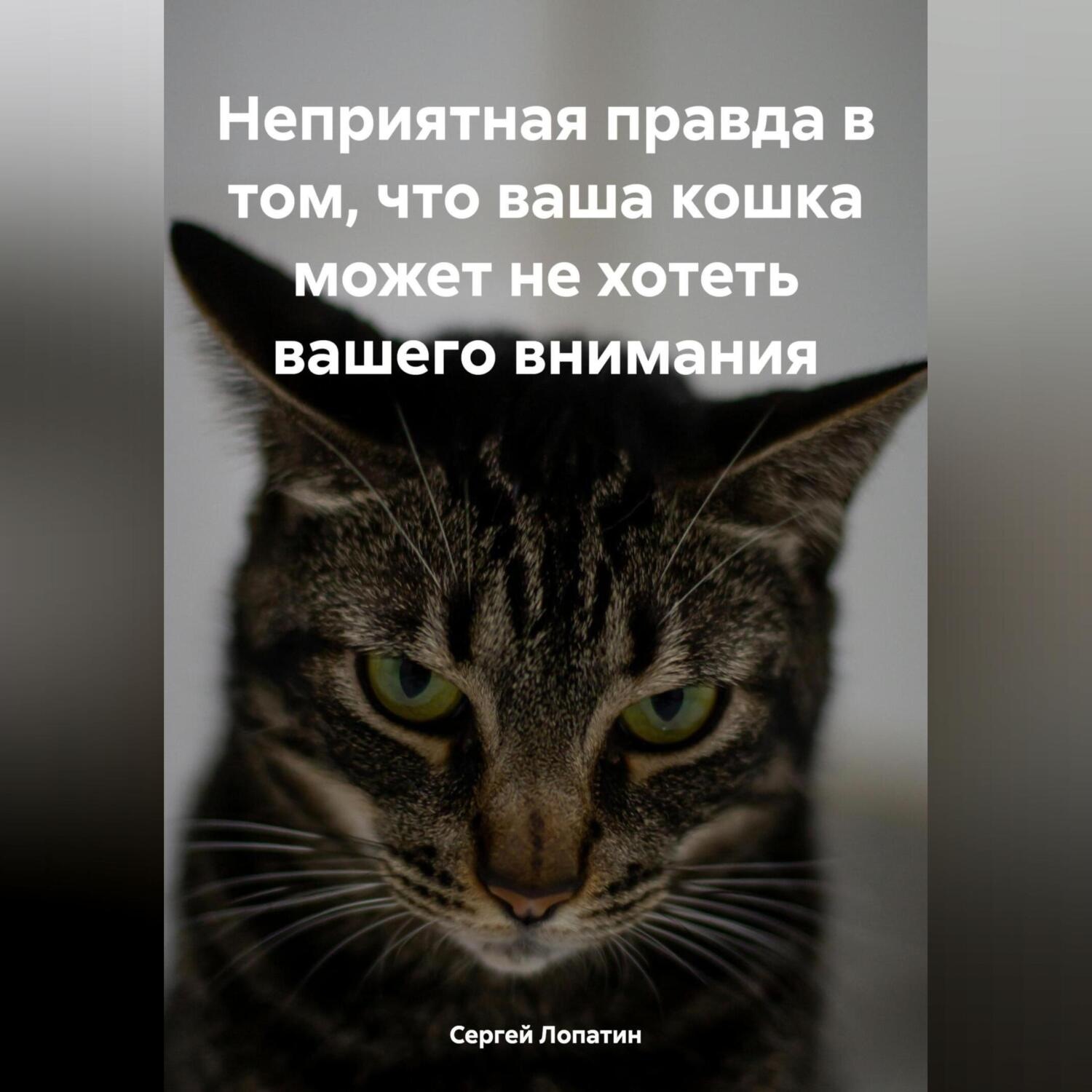 Обложка книги «Неприятная правда в том, что ваша кошка может не хотеть вашего внимания»